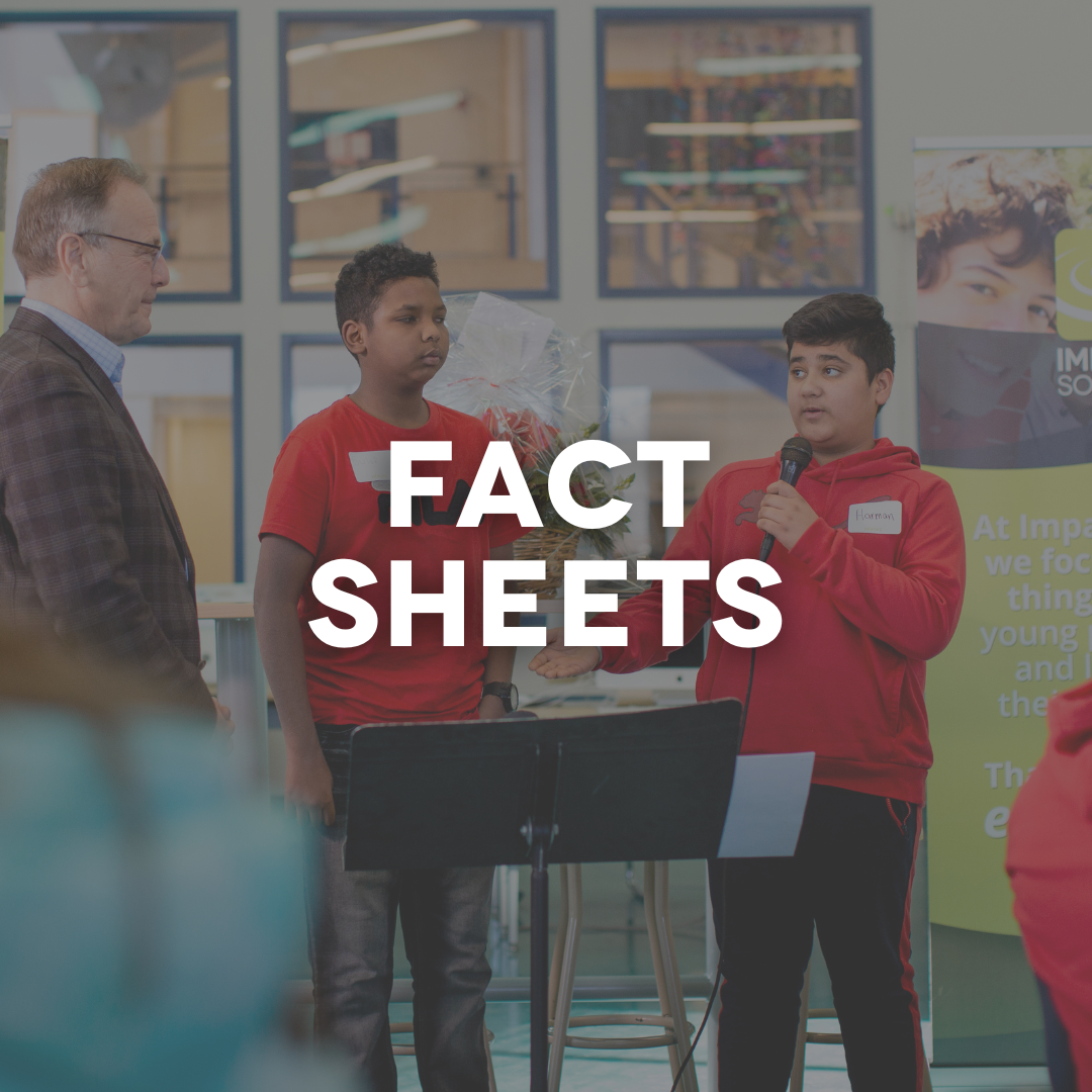 Impact Society's fact sheets provide valuable insights and information, offering a comprehensive overview of our initiatives, achievements, and mission.