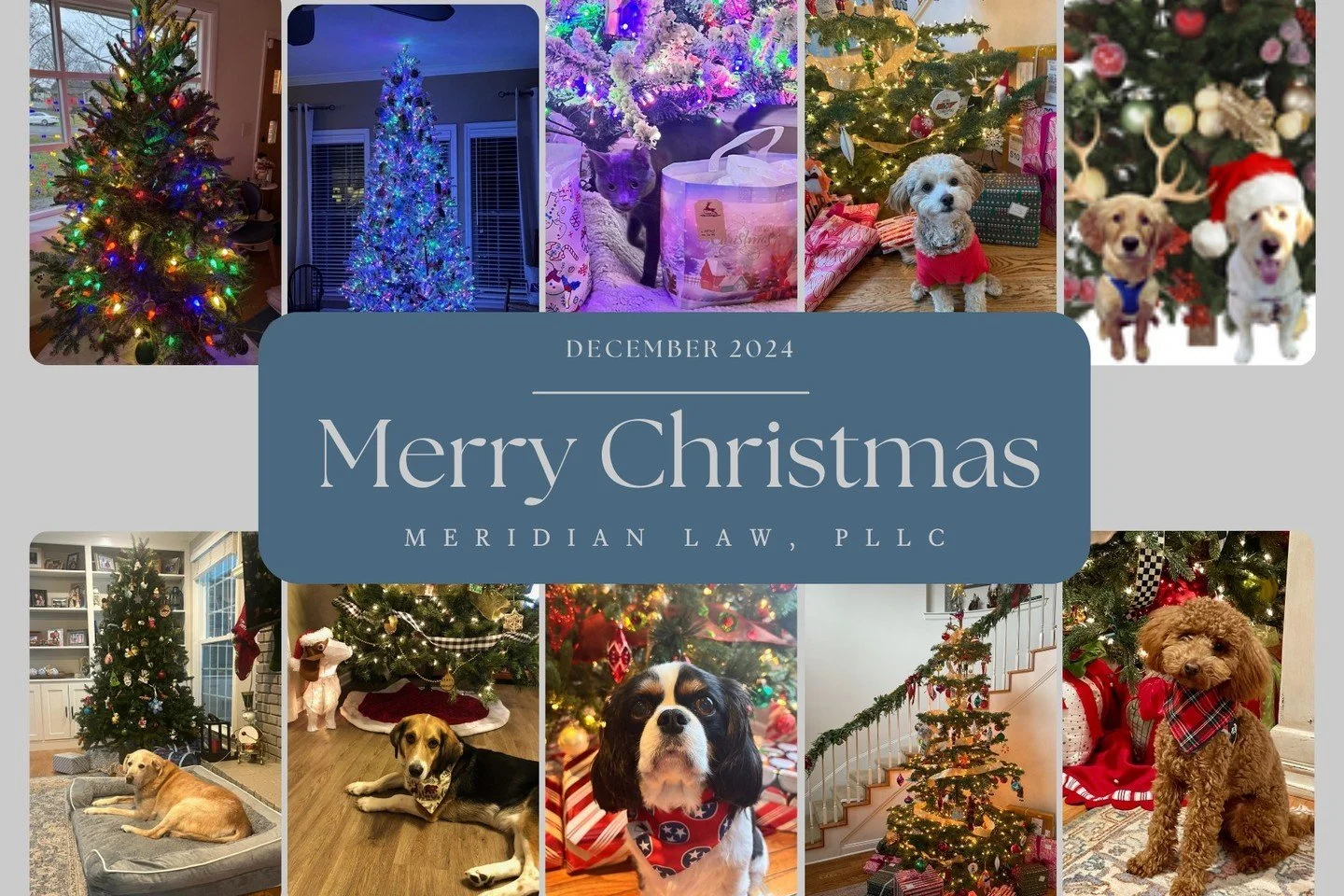 Thank you to our clients, friends, family, and colleagues for allowing us to be part of your journey this year.
Here&rsquo;s to a holiday filled with laughter, love, and wagging tails.
Happy Holidays and Best Wishes for the New Year! #meridianlaw #me