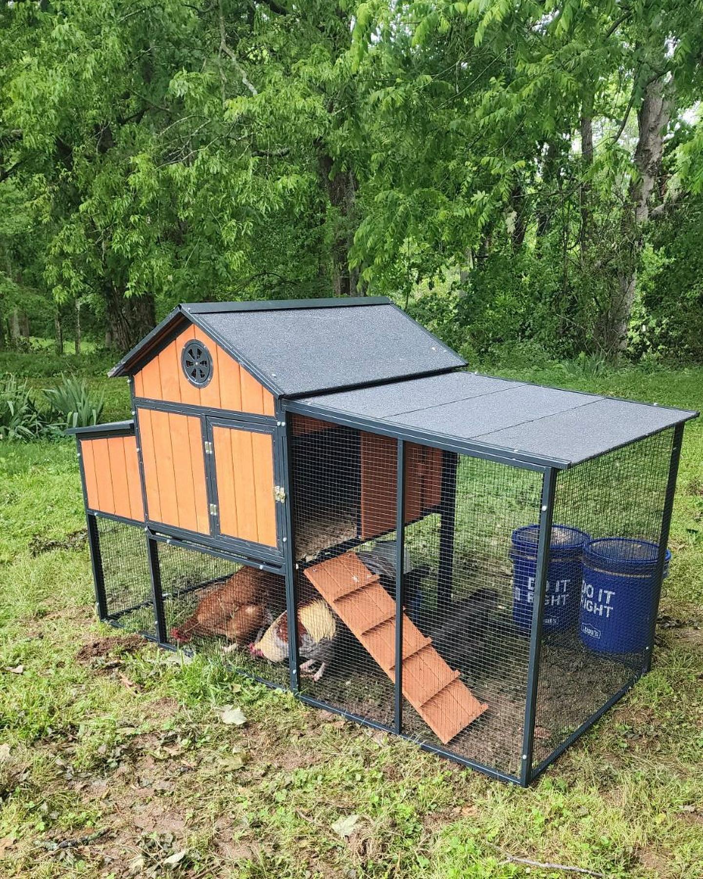 Yesterday, Kelley (daughter) and I used our creative skills (and instructions&hellip;lol) to put together a new chicken coop for her 5 chickens. The coop that was housing the chickens was damaged when the tornado came through last Wednesday, May 8th 