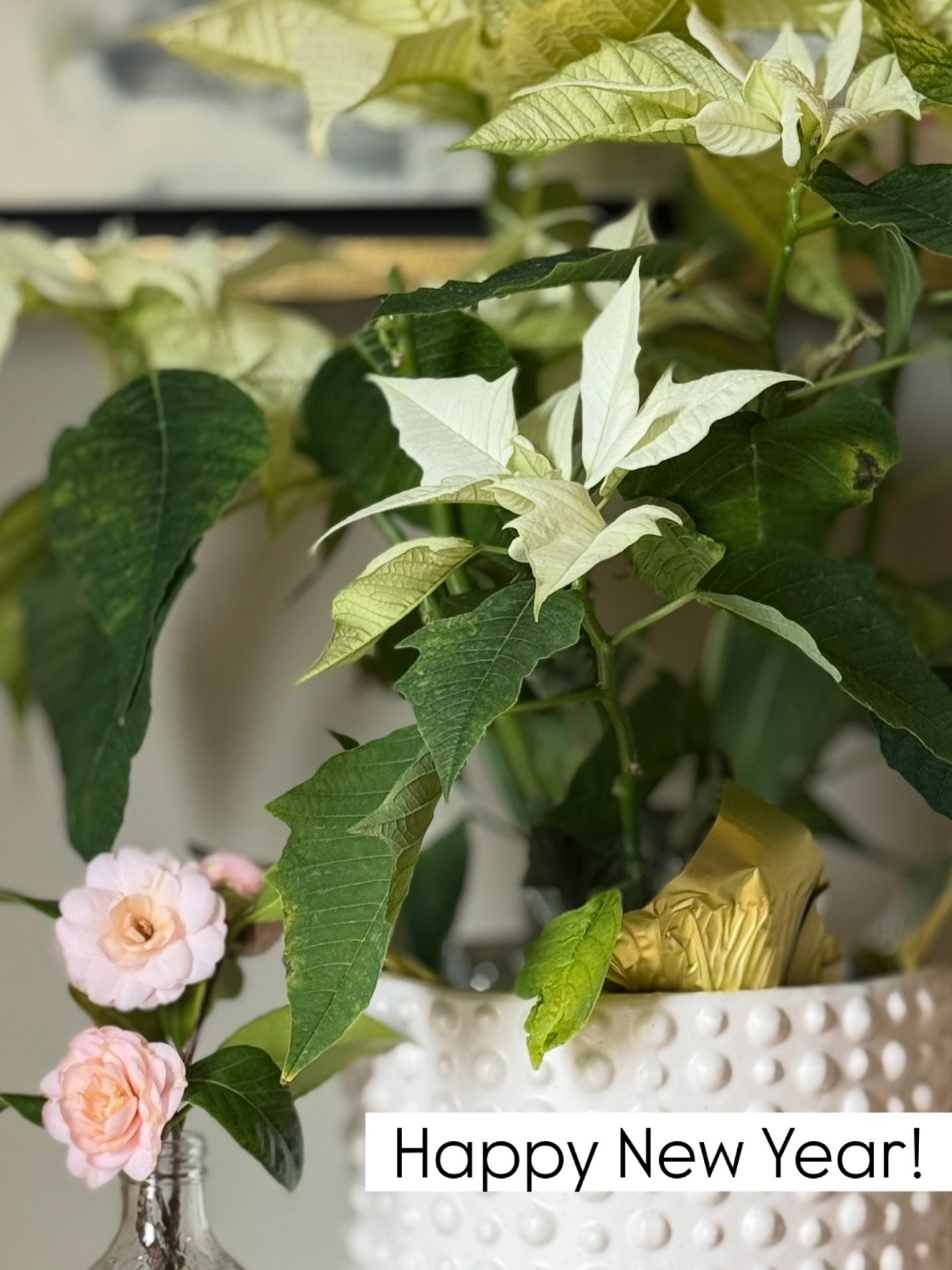 As I sit quietly and peacefully on this first day of the new year, I&rsquo;m reflecting on 2025&hellip;.all that it brought to me, both good and bad. I think of all that I gained and what I lost. I&rsquo;m sorting through what I want to leave behind 