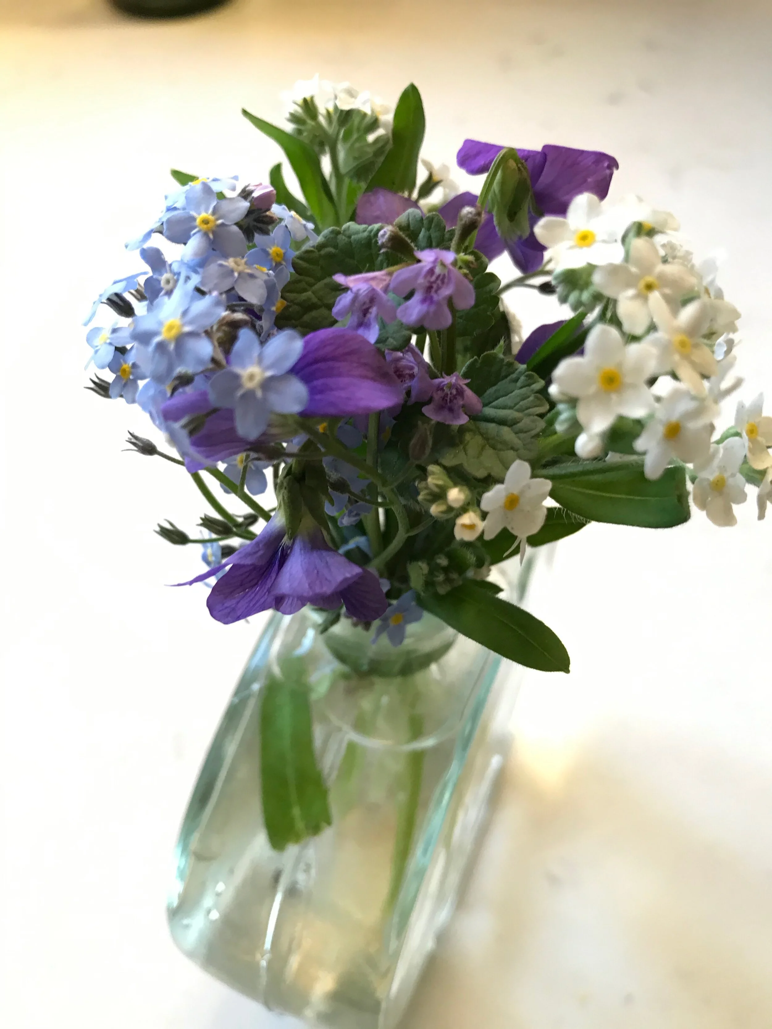 VioletBouquet.jpg