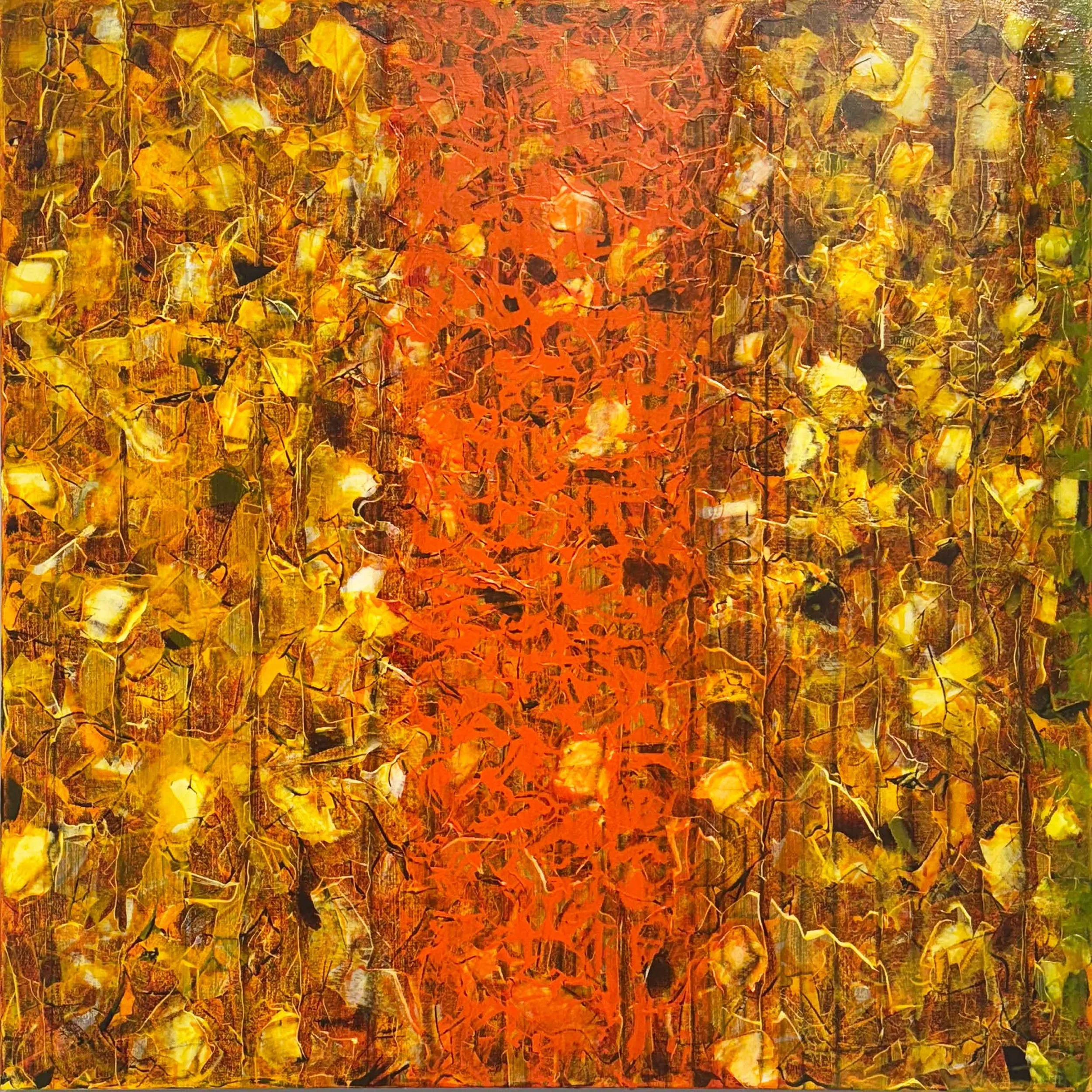 Summer Series 2025 36”h x 36”w x 1.5”d Oil on canvsa 2025.034