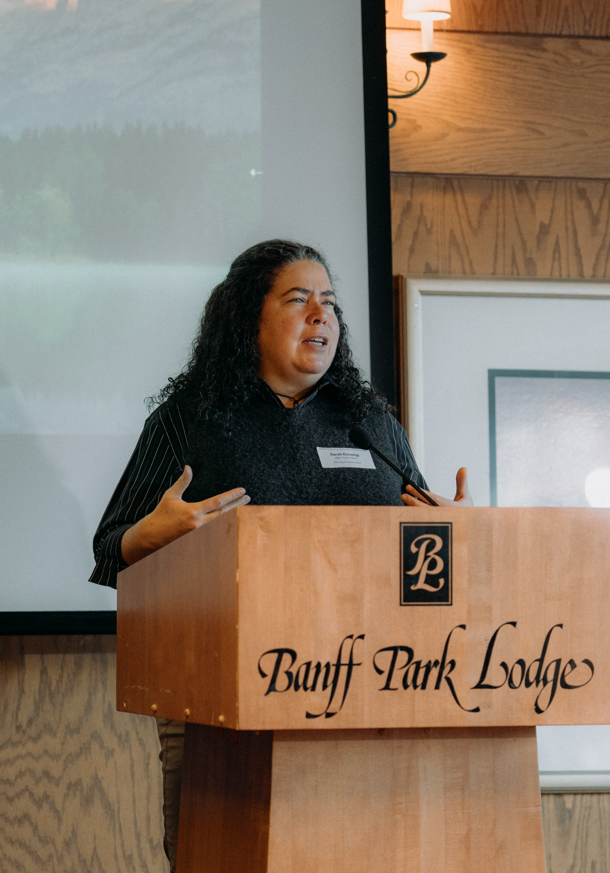 Sarah Elmeligi, Member of the Legislative Assembly of Alberta (MLA for Banff-Kananaskis)