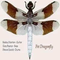 Dragonfly Pets.jpg