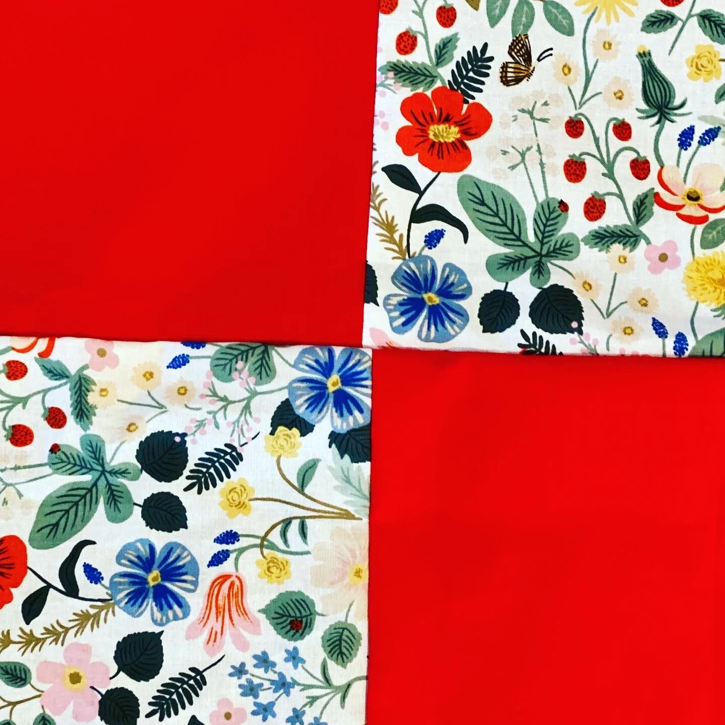 Dorothy quilting 4.JPG