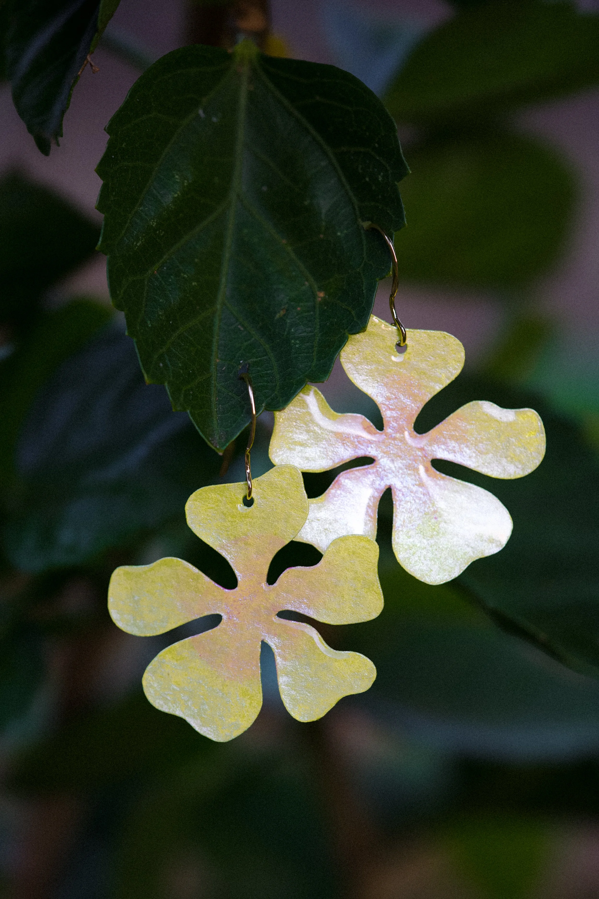 hibiscus mama buttercup.jpg