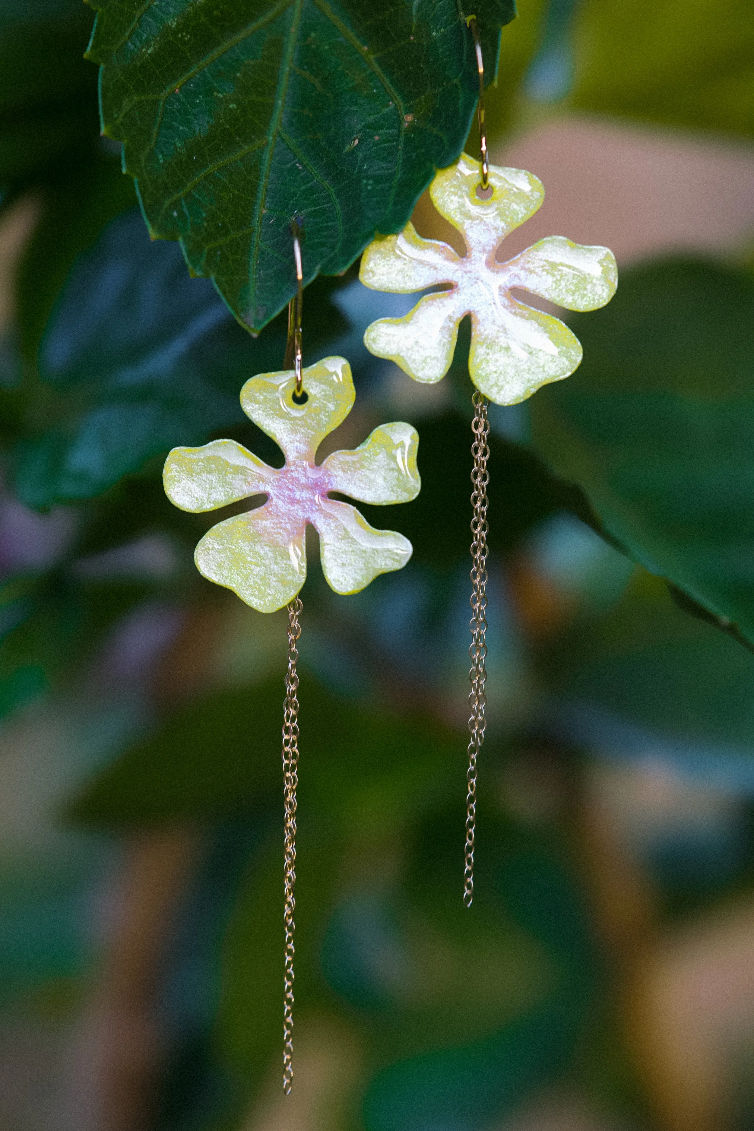 hibiscus drops buttercup.jpg