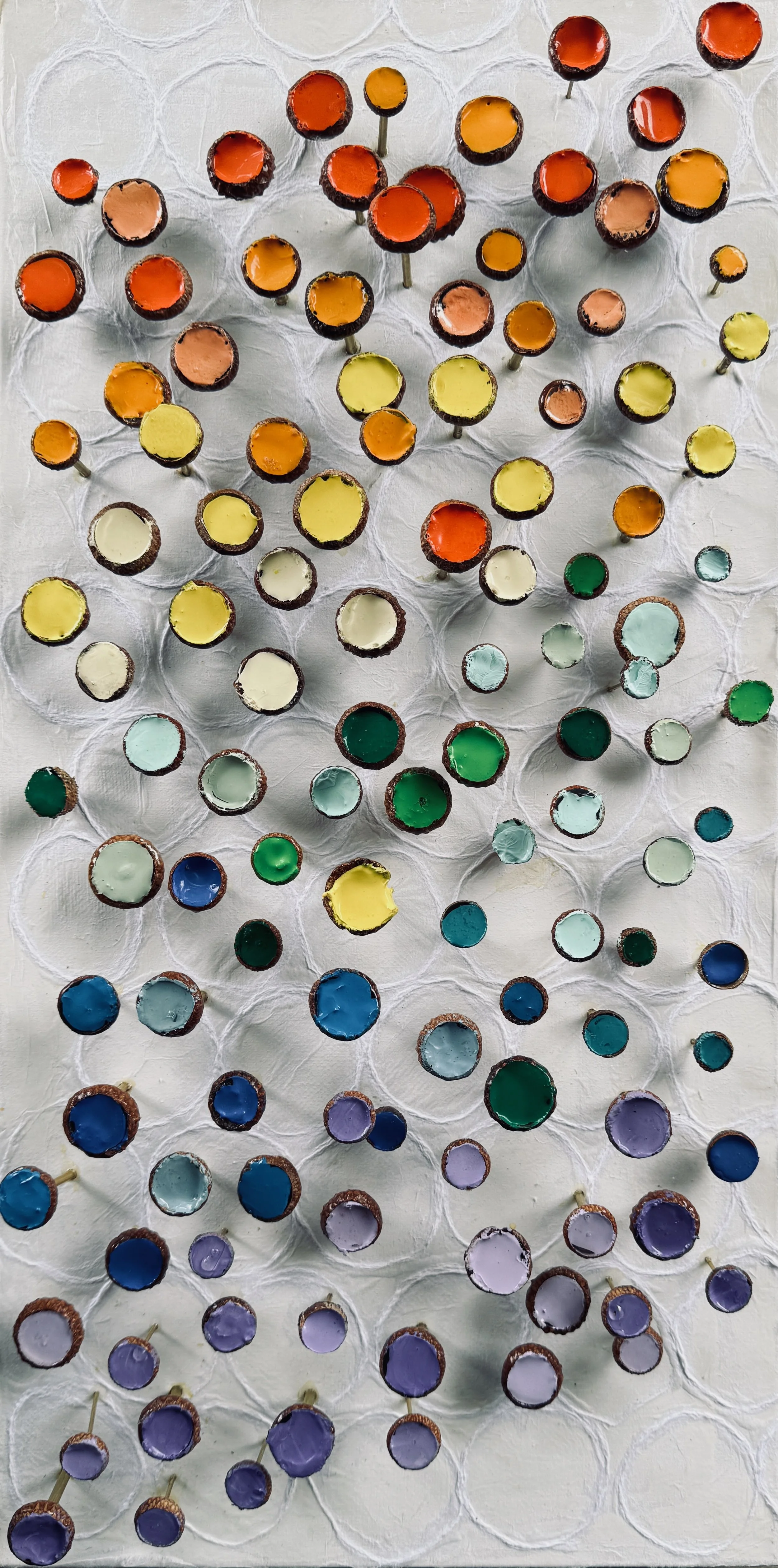 Inspired by biophilia, "Colorful Canopy" features acorn caps filled with vibrant paint spanning the spectrum, then mounted on brass “stems”. Each acorn cap is arranged in relief technique in a wonderful composition. This technique suggests an overhea