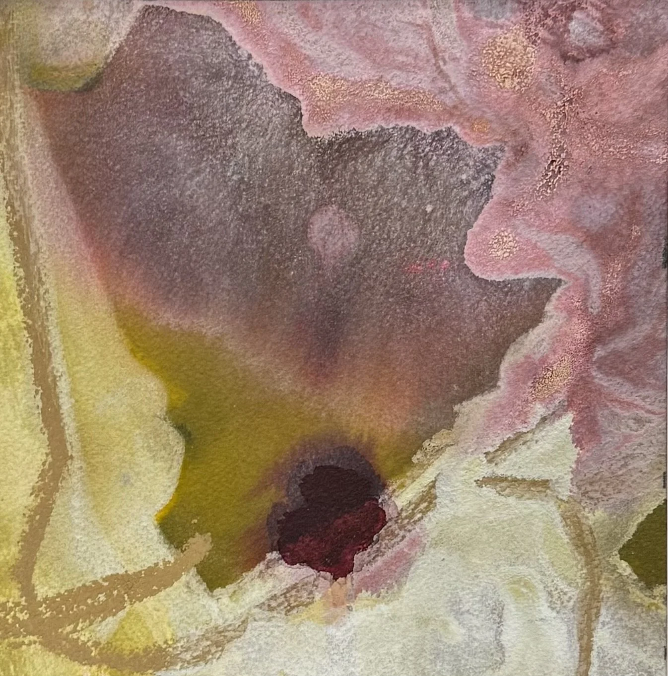 Spring Rhapsody
 6 x 6 - Acrylic and Ink
 SOLD