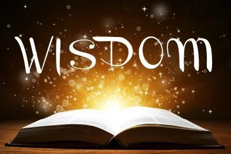Wisdom