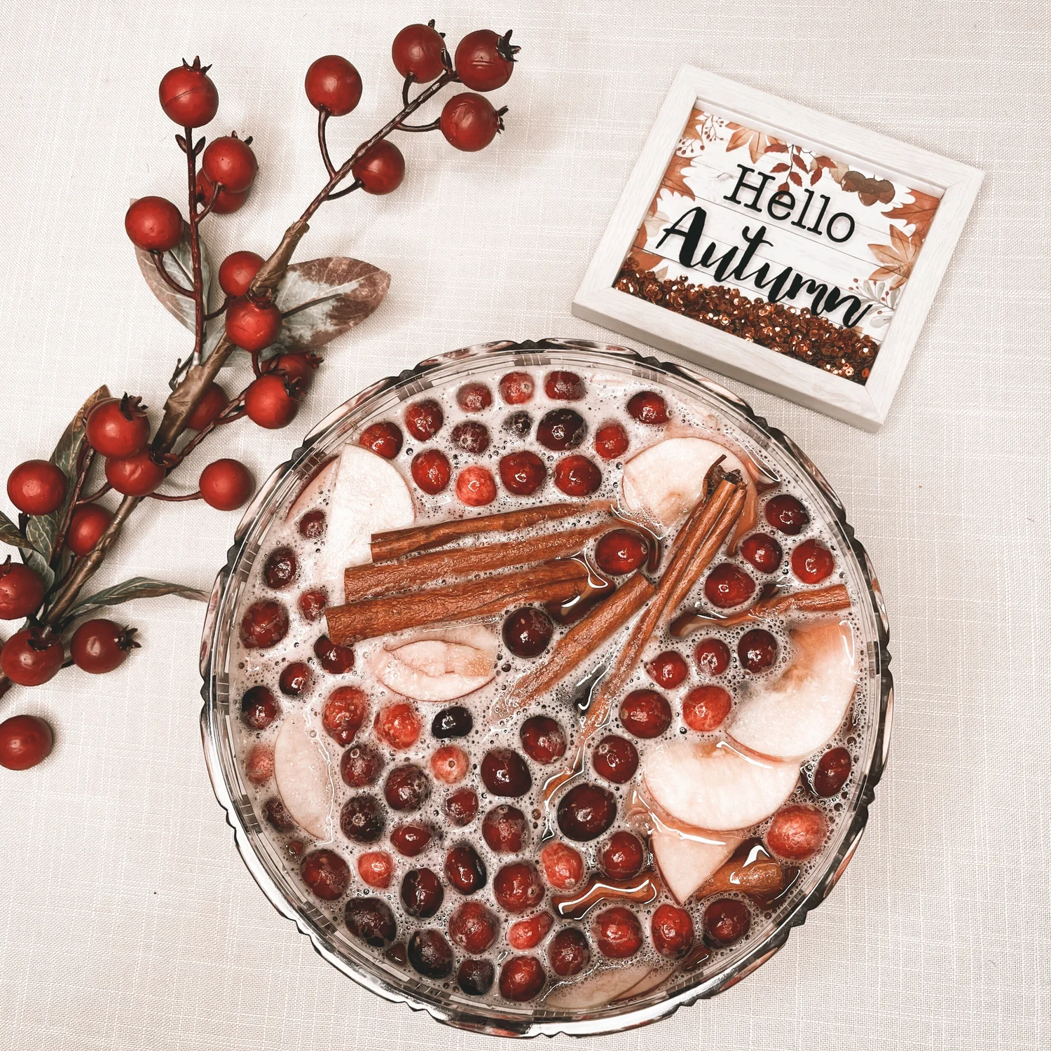 Non Alcoholic Sparkling Punch With Spiced Rum