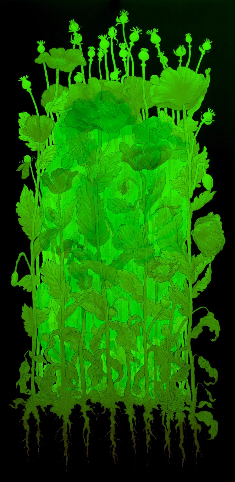 WEB_VIII_06.jpg