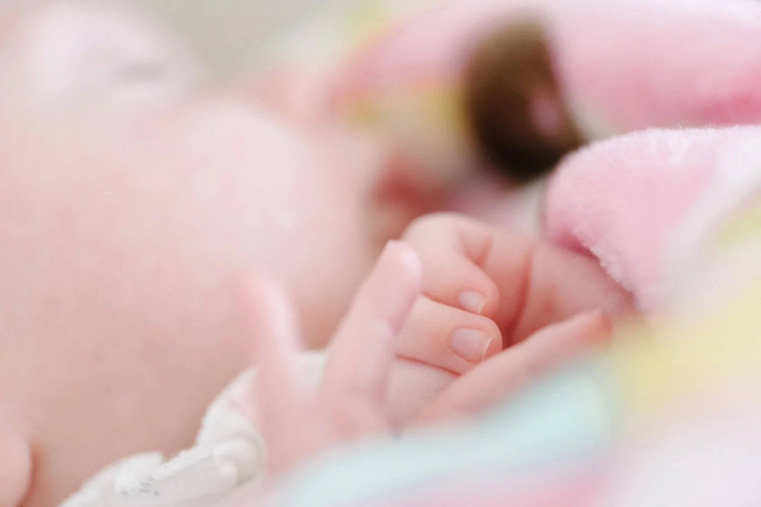 ErikaCastaneda_Fam-n-Children_LS_S_10.jpg