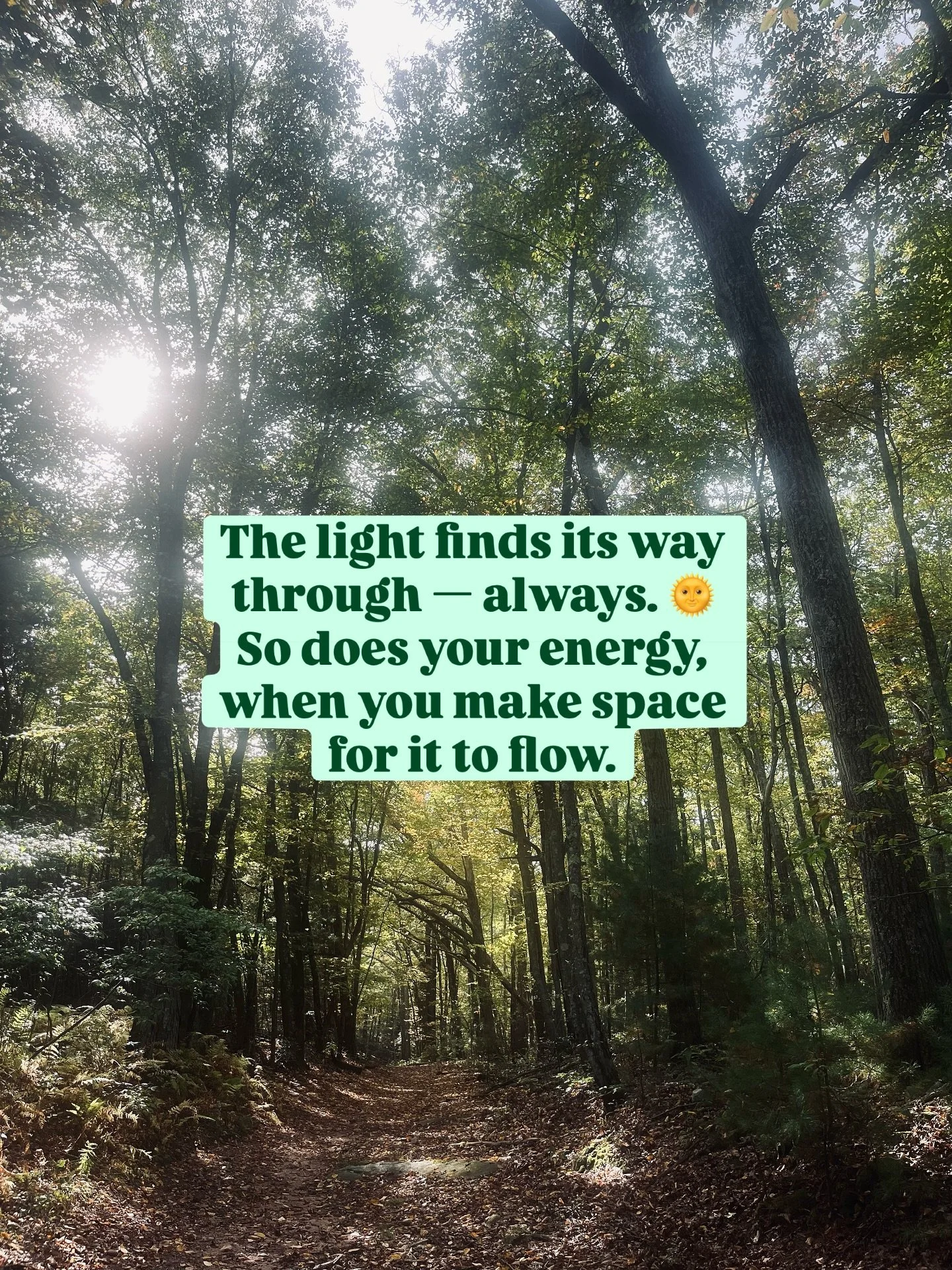 Yay it&rsquo;s Friday! 
&ldquo;The light finds its way through &mdash; always. 🌞 So does your energy, when you make space for it to flow.&rdquo; - 💚💚MGP 10/17/25 🤗🤗