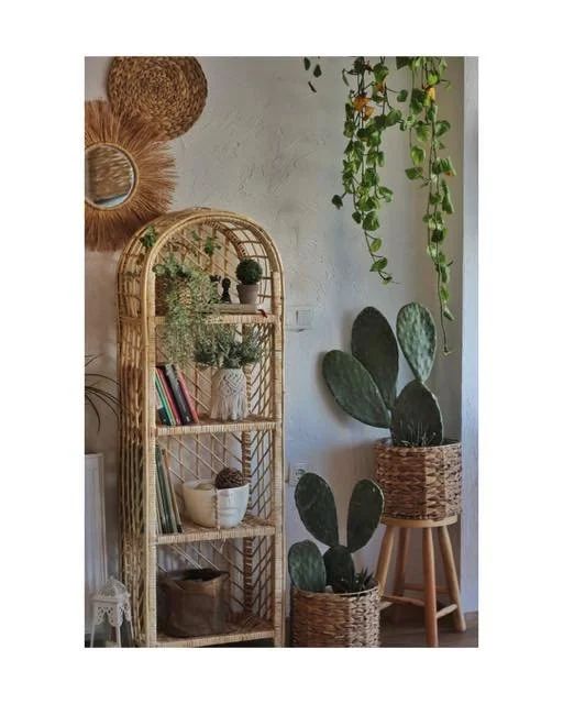 Wood is one of the 5 elements in feng shui. 

Wood - the colors are green or turquoise. Wood furniture and hardwood floors, books and lots of plants and wooden woven accents. Think boho! 🪴

#marygracepeakandcompany #ctbusiness #energyhealing #interi
