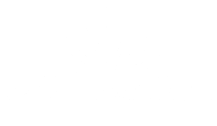 Vibrant Interiors | Energy and Grace