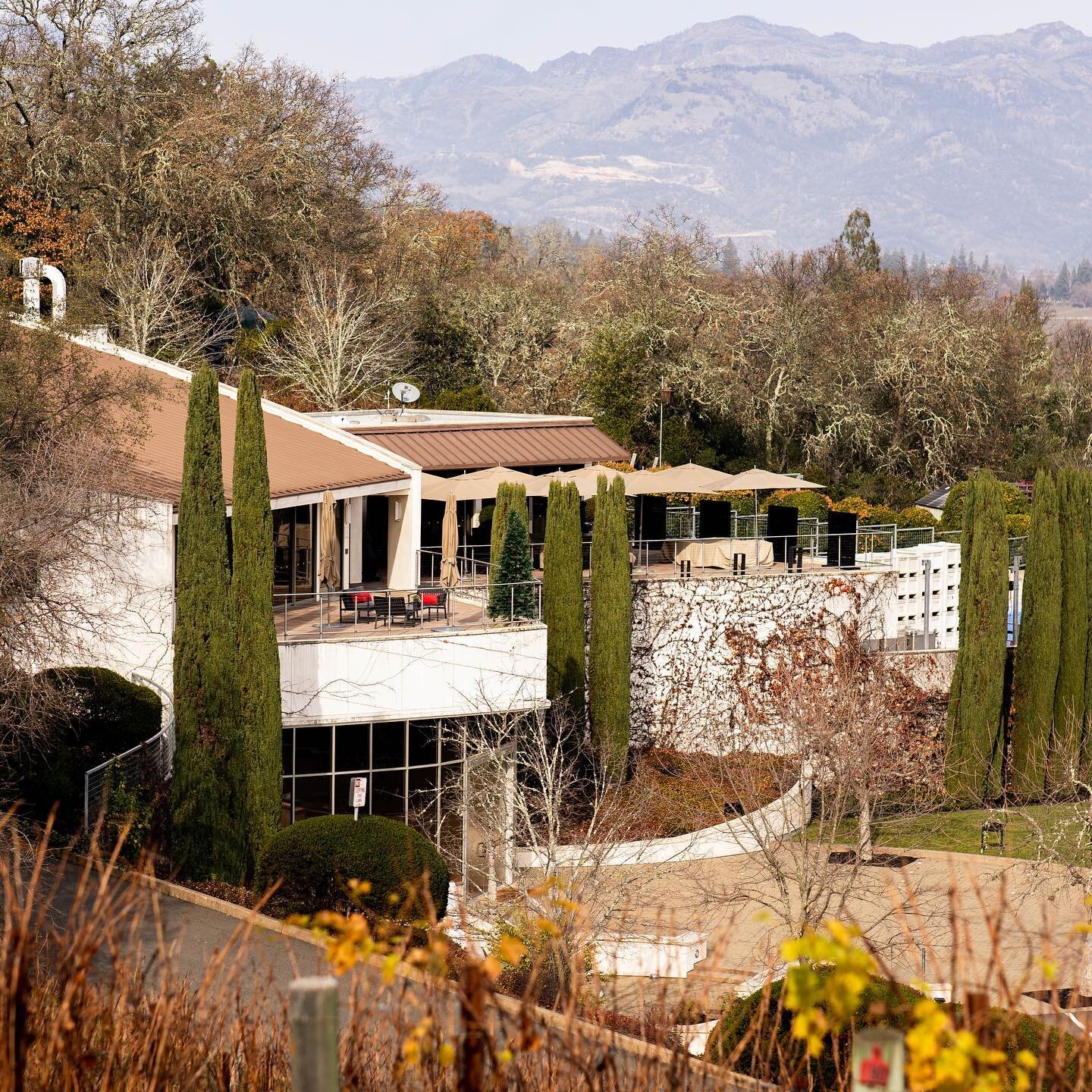 I&rsquo;m excited to share my new client &mdash; Vineyard 29. 

With two locations, you can visit their swanky downtown tasting room or head up to St.Helena for the ultimate private experience. 

As a 100-point winery, they know amazing winemaking. I
