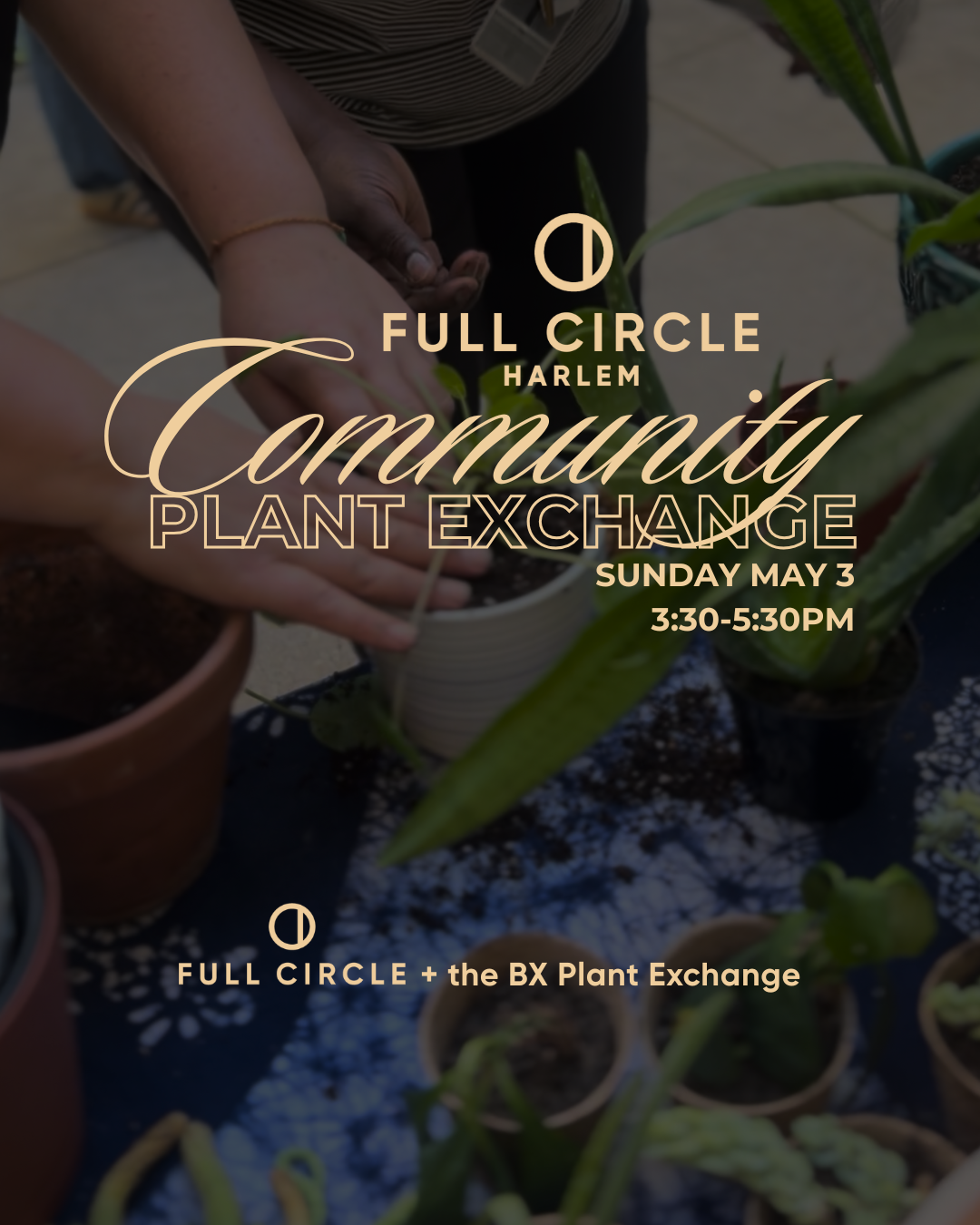 Community Plant Exchange - May 3.png