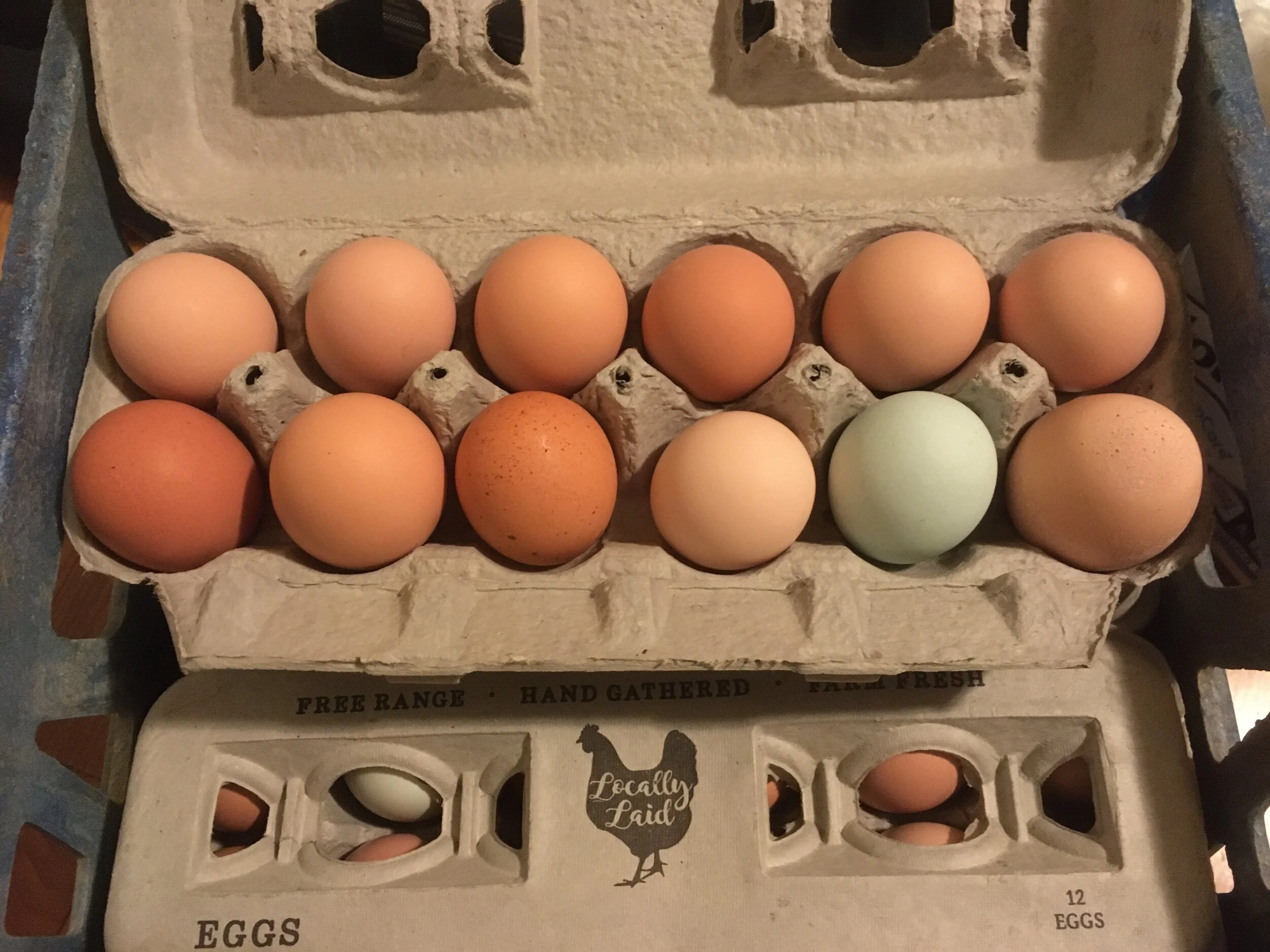 Southard Farms photo 6