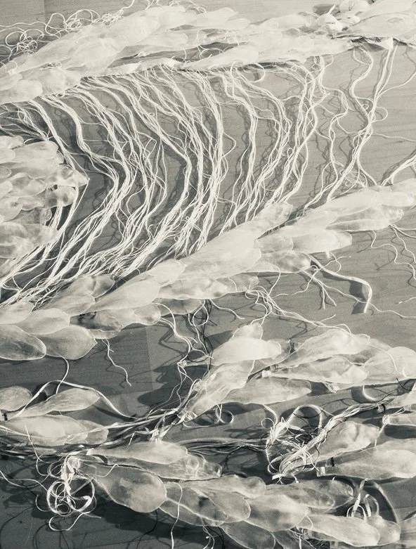 18_past_meyercharlotte copy.jpg