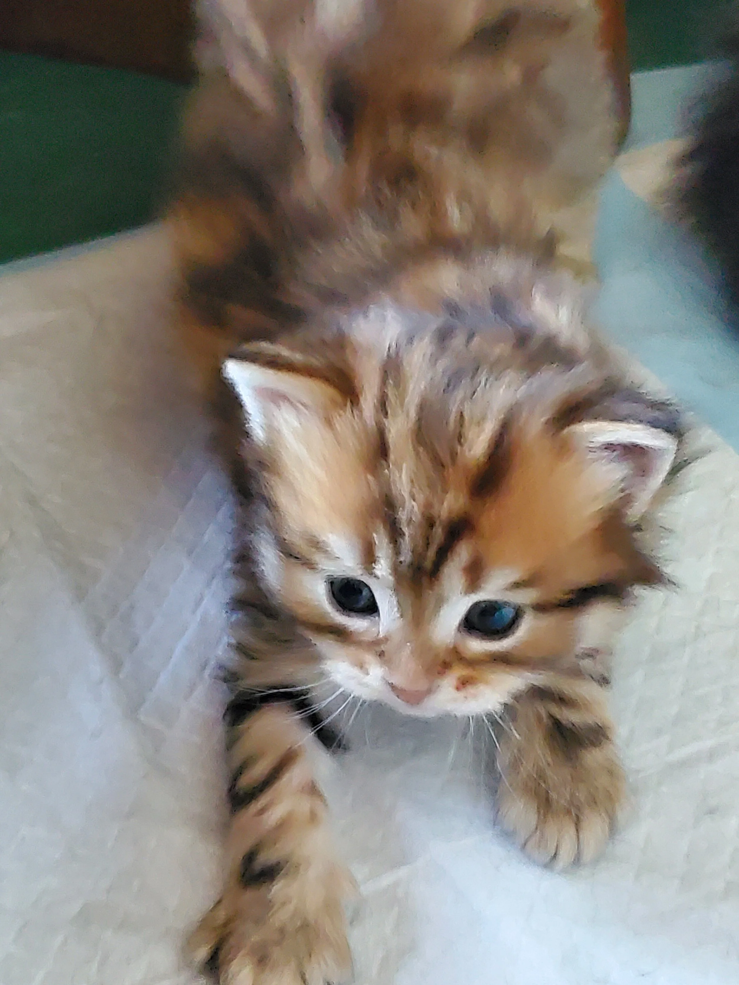 20210413_081919.jpg