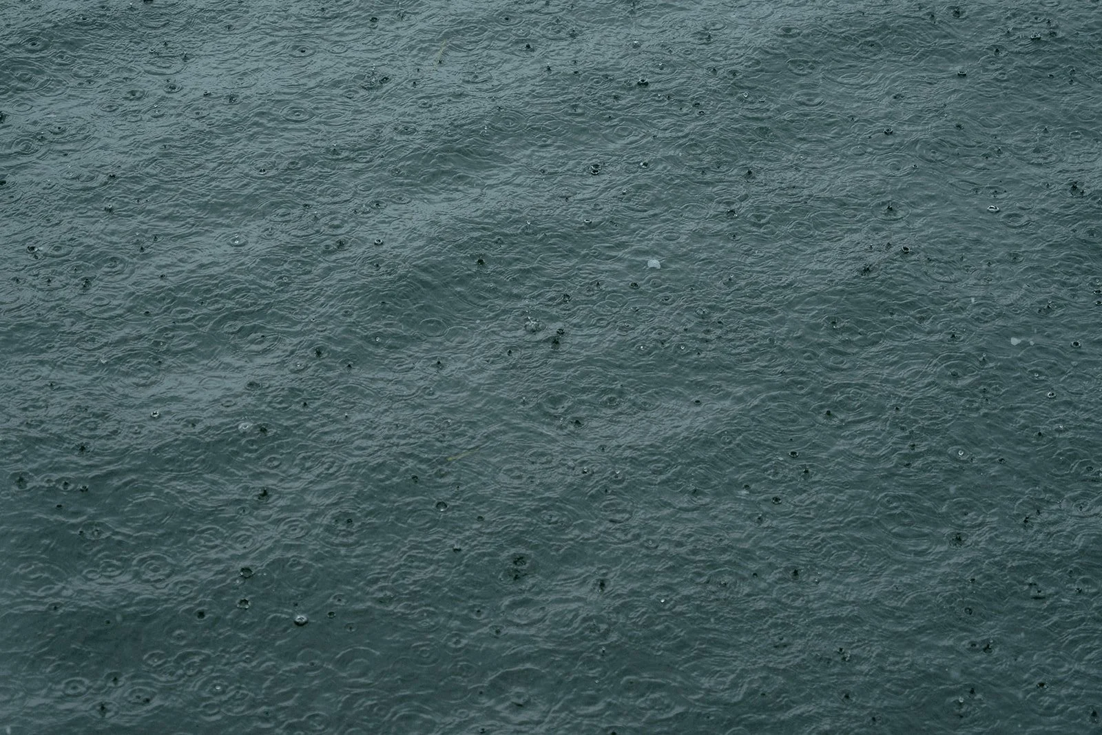 Annie & Anders-23_websize.jpg