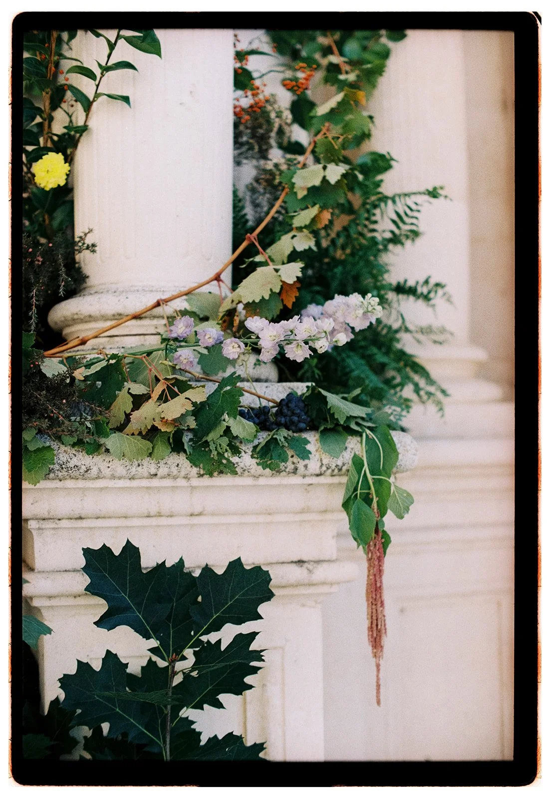 Decorative plant arrangement with grapes and greenery on a white stone pedestal
