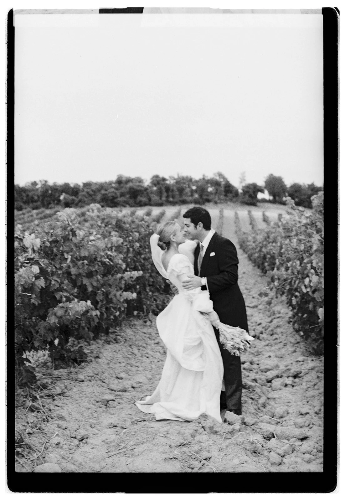 A black and white photo of a couple in wedding attire sharing a kiss in a vineyard, with rows of grapevines in the background.