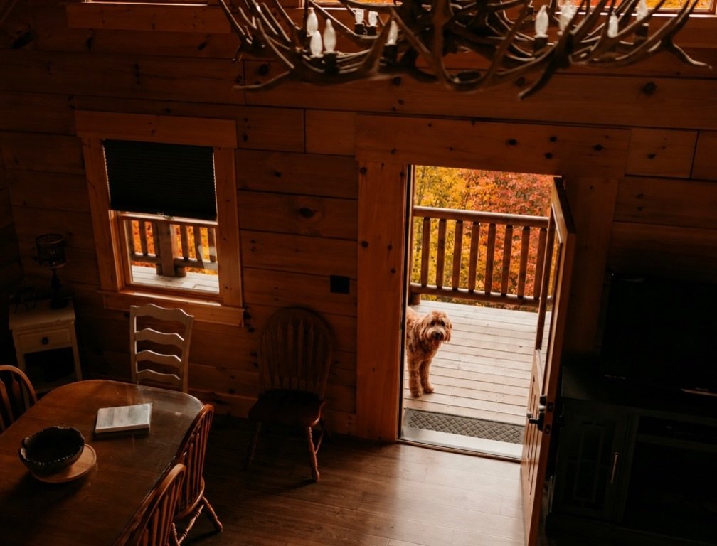 Cozy cottage mornings, golden views, and the warmest welcome.