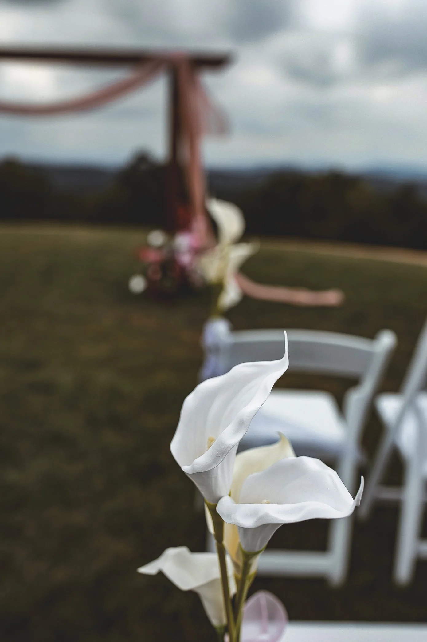 wedding(12).jpg