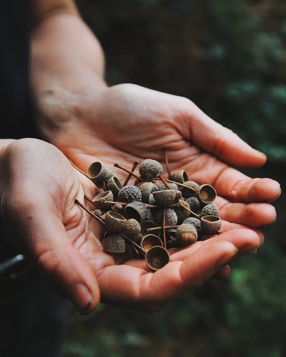 WhatsApp Image 2025-09-27 at 23.08.33.jpeg