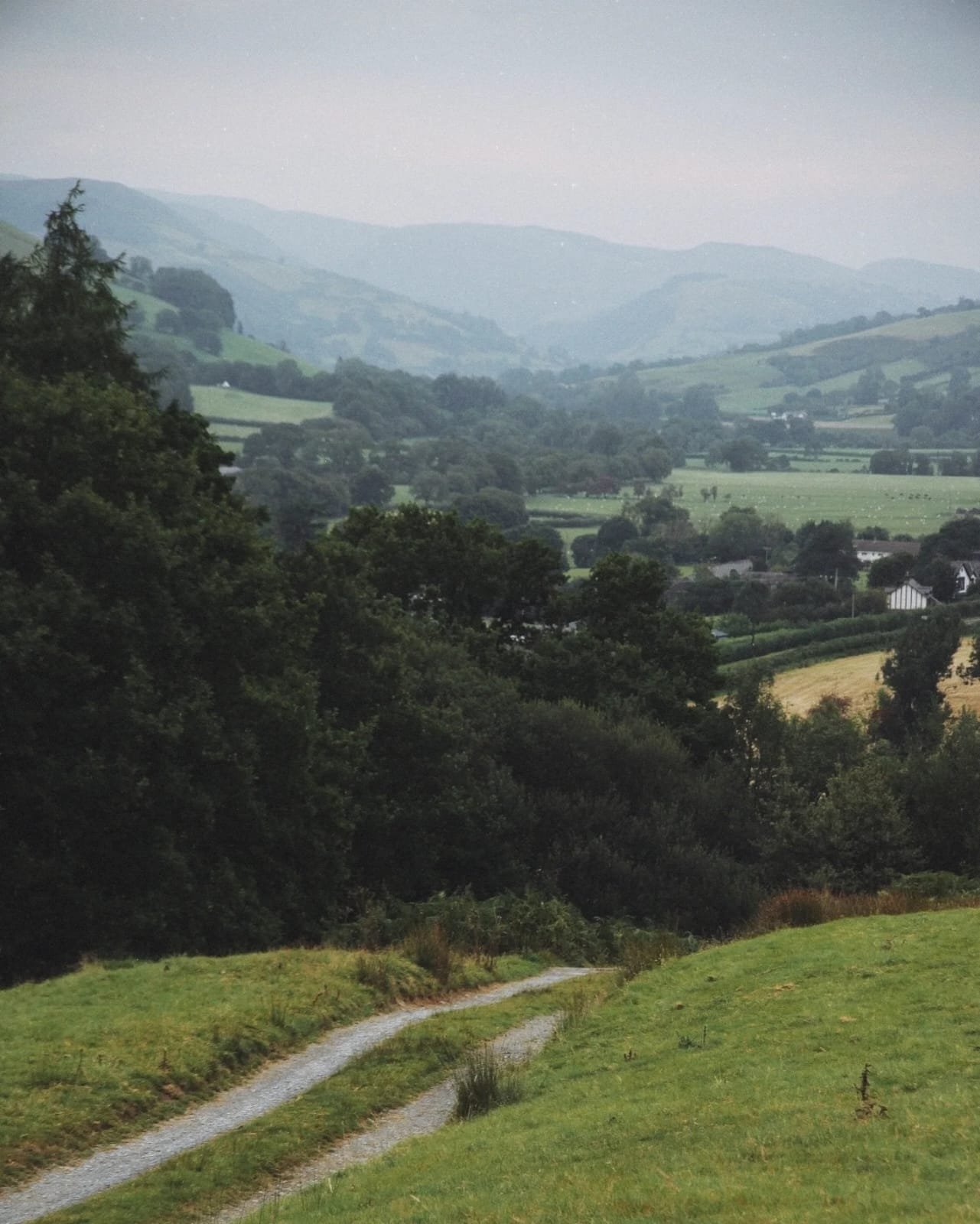 WhatsApp Image 2025-08-15 at 11.08.54_a5a747df.jpg