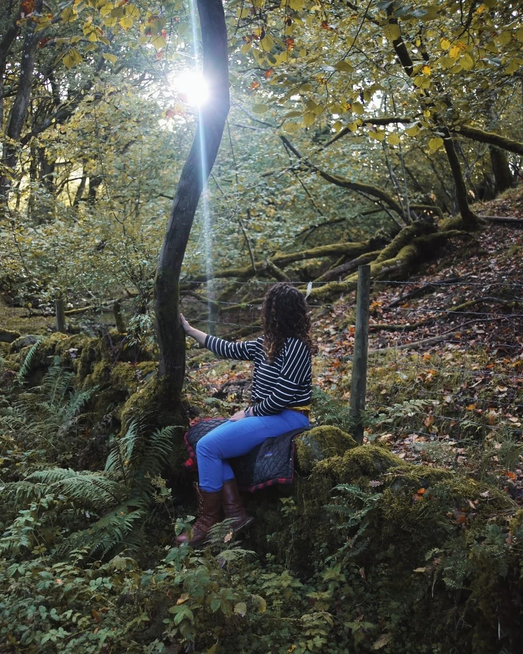 WhatsApp Image 2025-10-16 at 11.17.073.jpeg