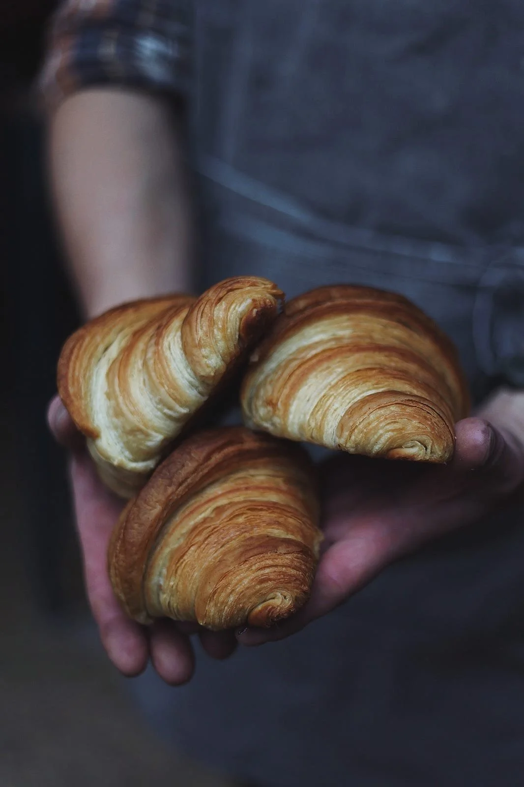 WhatsApp Image 2025-11-14 at 12.13.24.jpeg