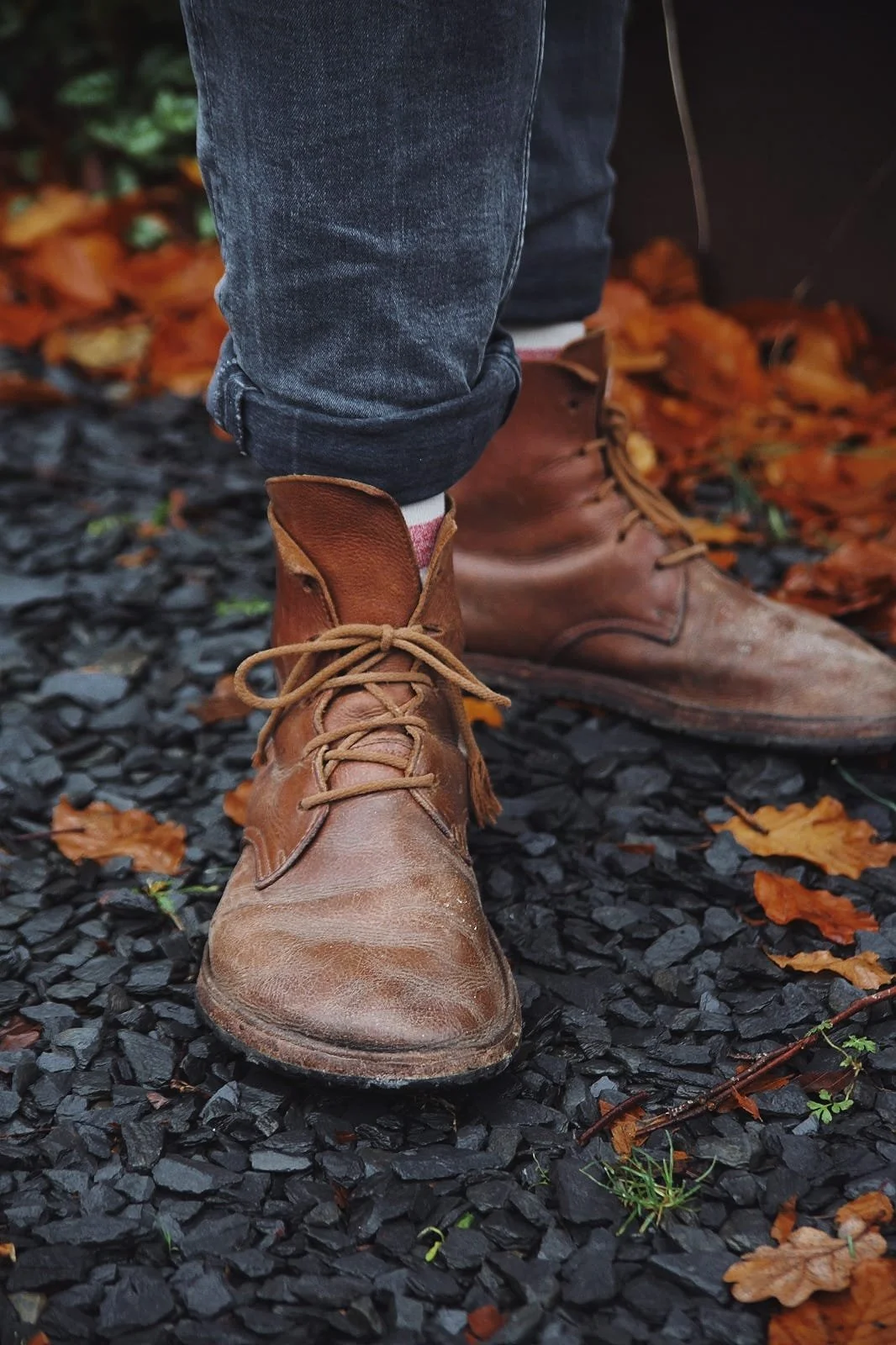 WhatsApp Image 2025-11-14 at 12.13.27.jpeg