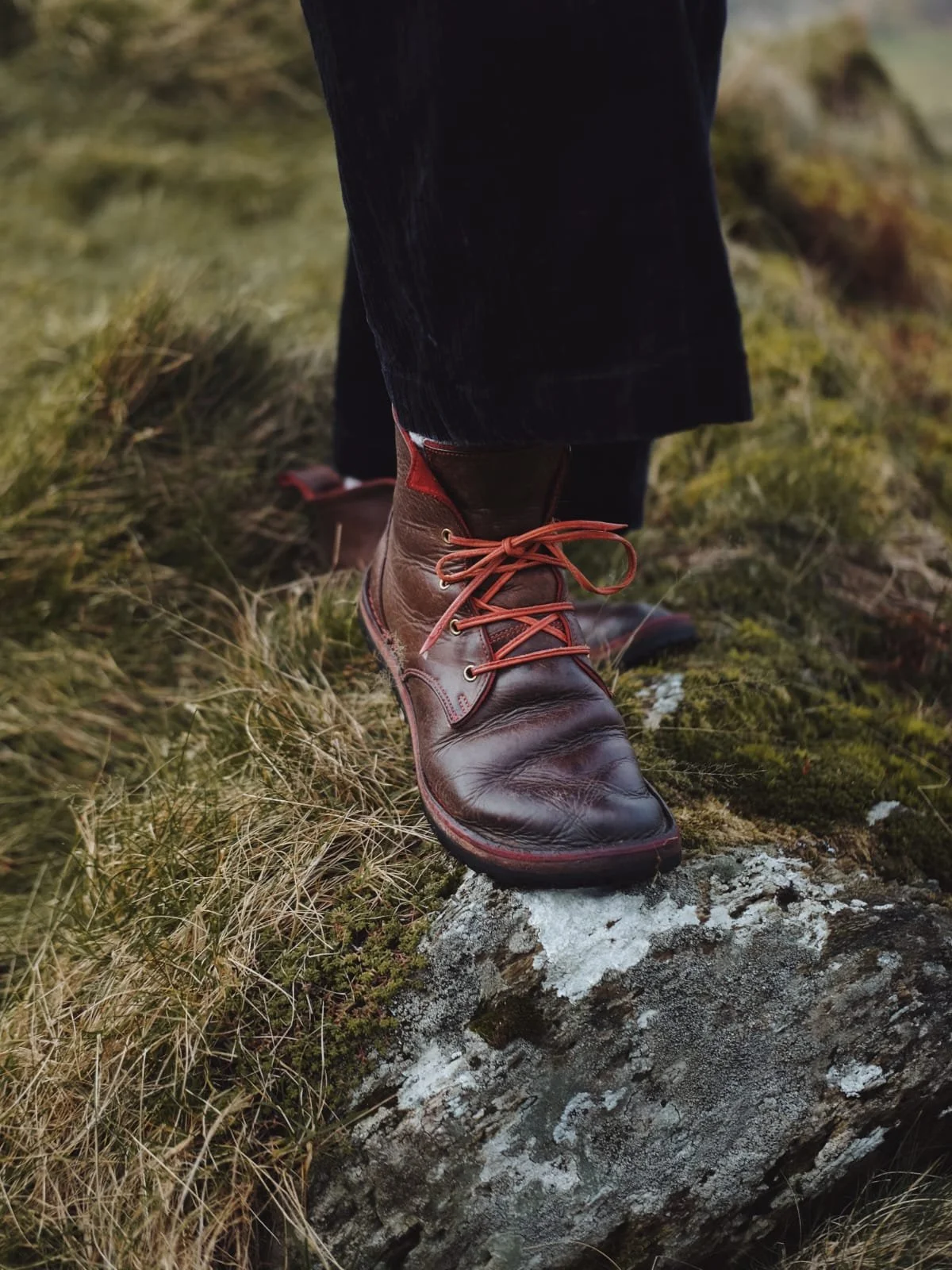 WhatsApp Image 2026-03-11 at 07.48.34 (3).jpeg