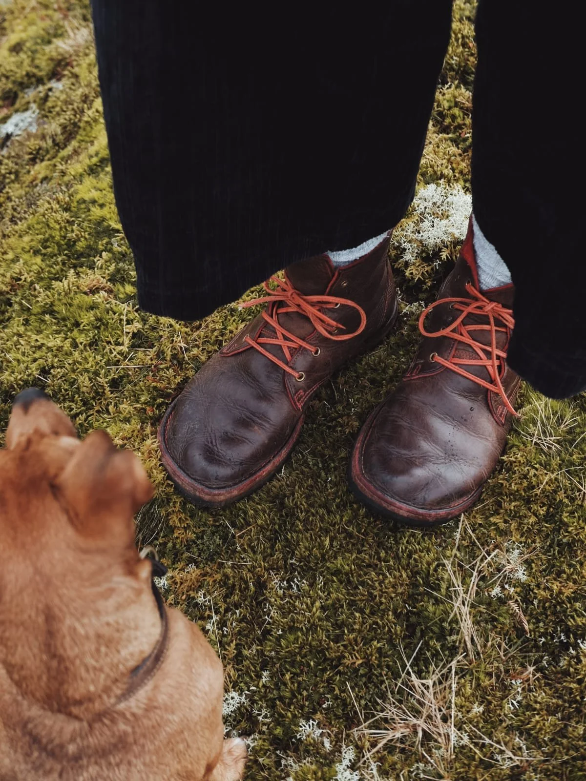 WhatsApp Image 2026-03-11 at 07.48.25.jpeg