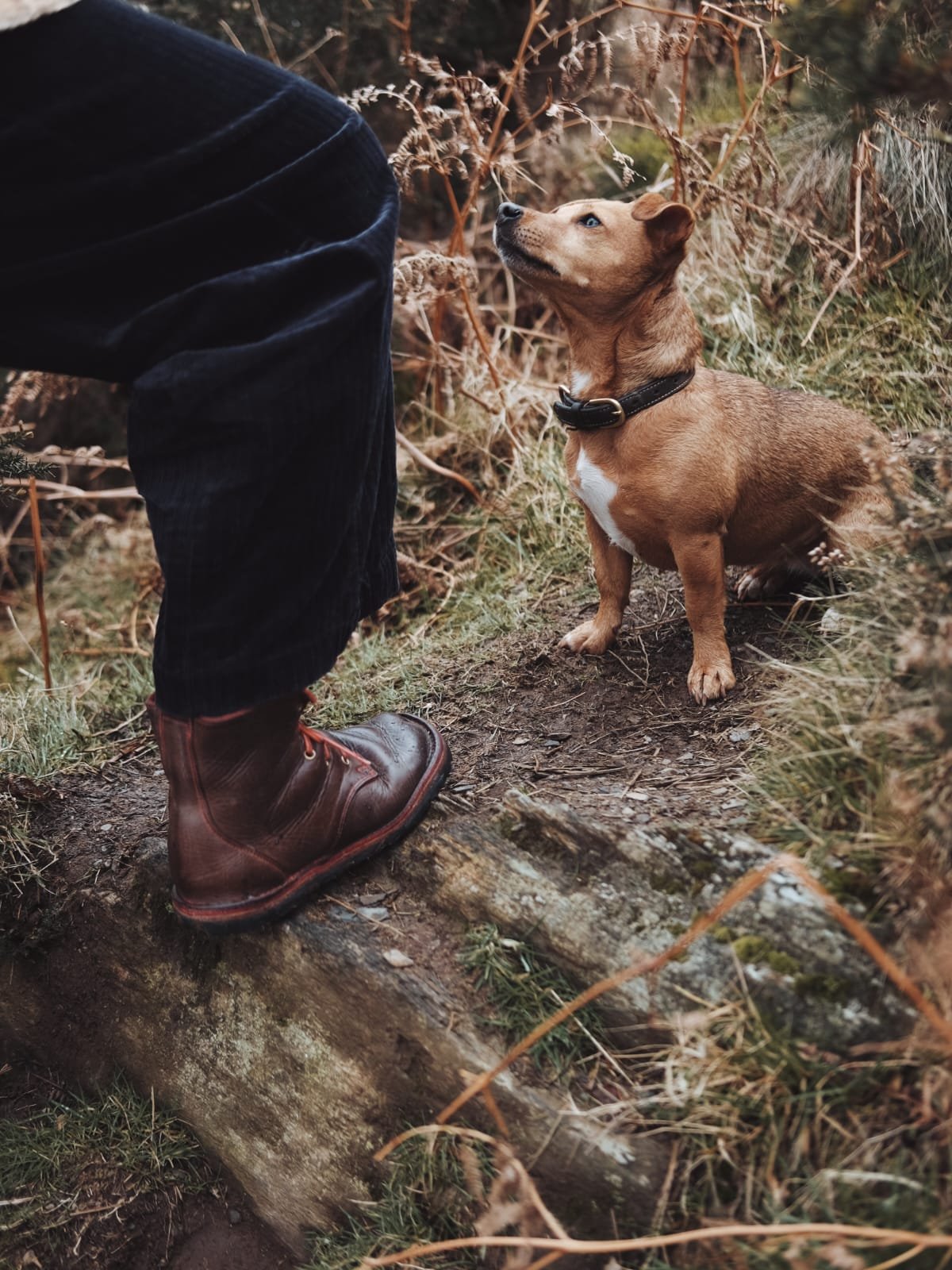 WhatsApp Image 2026-03-11 at 07.48.38 (2).jpeg