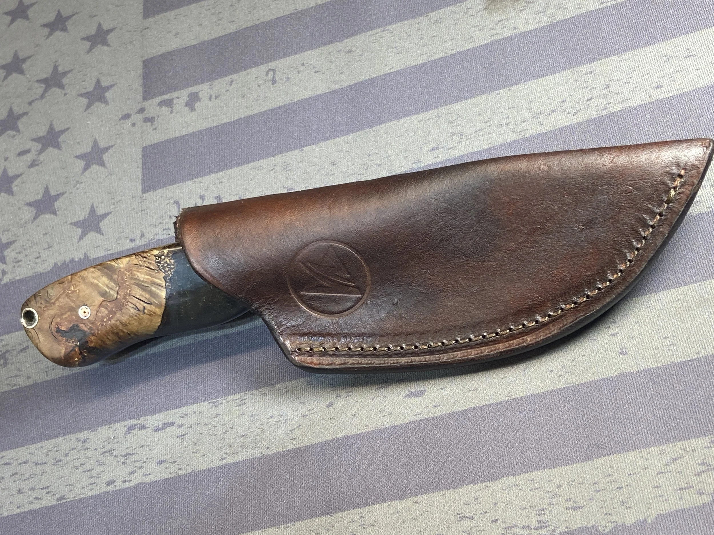 image_6487327 (3).JPG