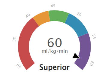 Garmin Vo2 Max Fitbit Sense Music Vivoactive Vo2 Max Test Garmin
