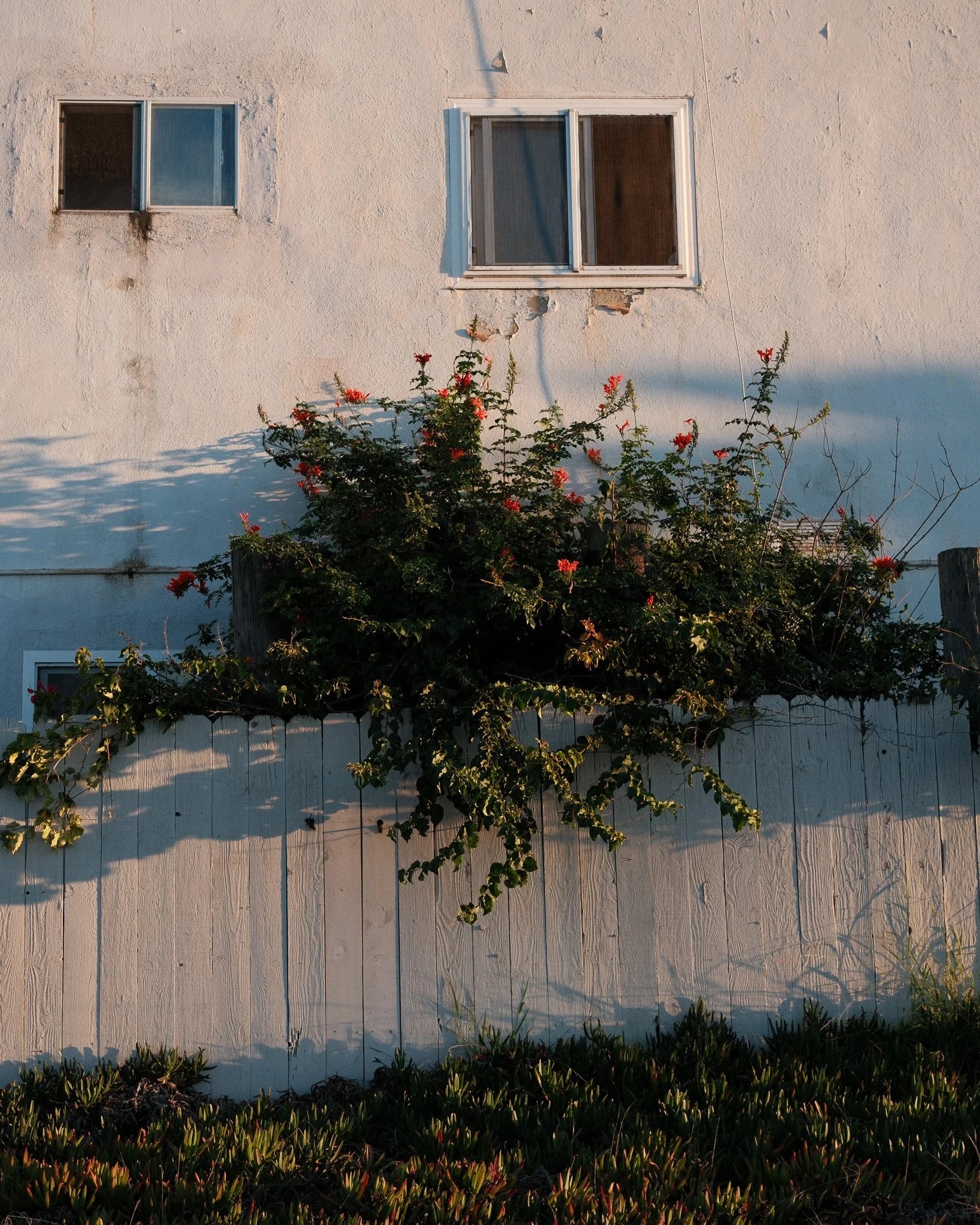 DSCF0811.jpg