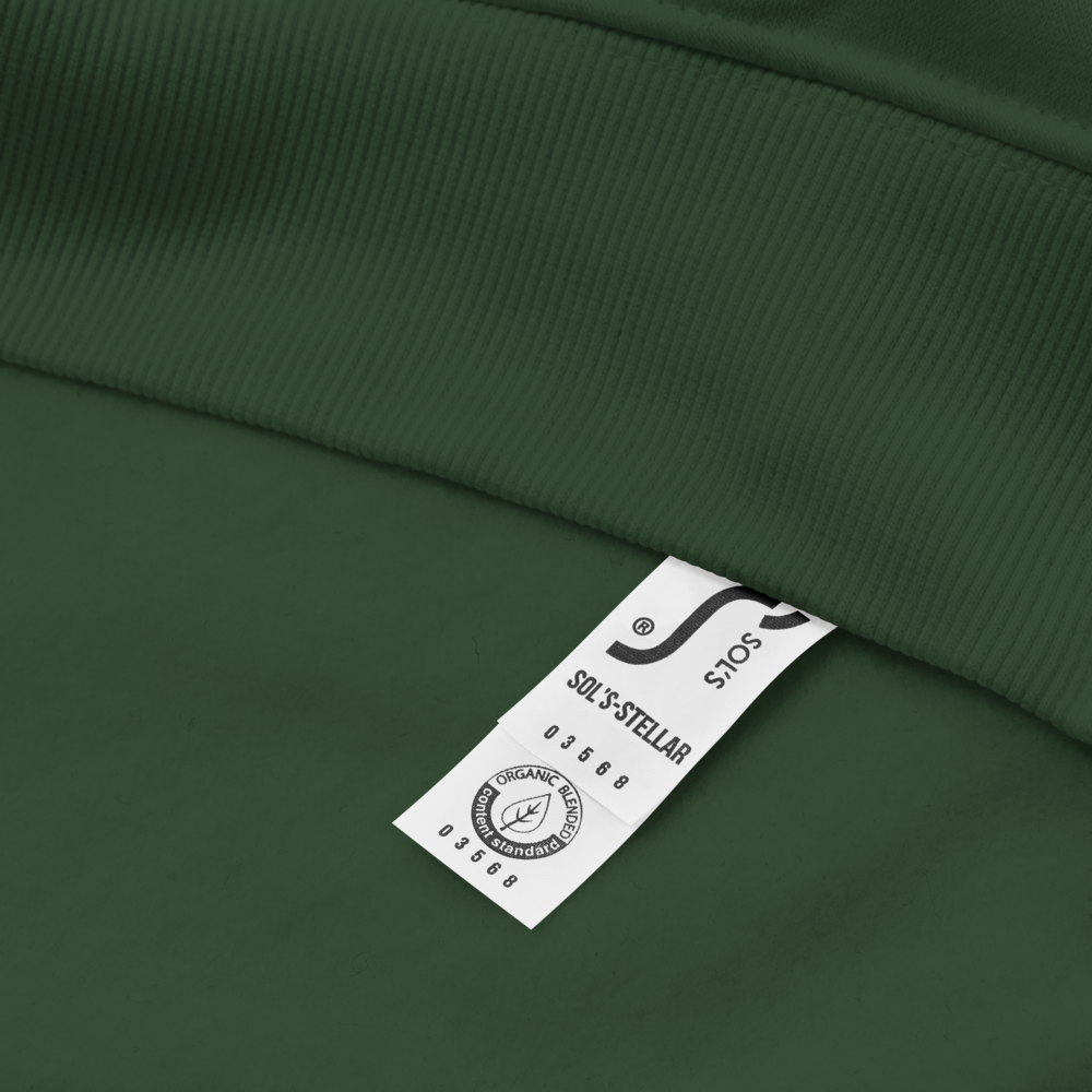 unisex-eco-raglan-hoodie-bottle-green-product-details-4-66101a6b3baf8.png