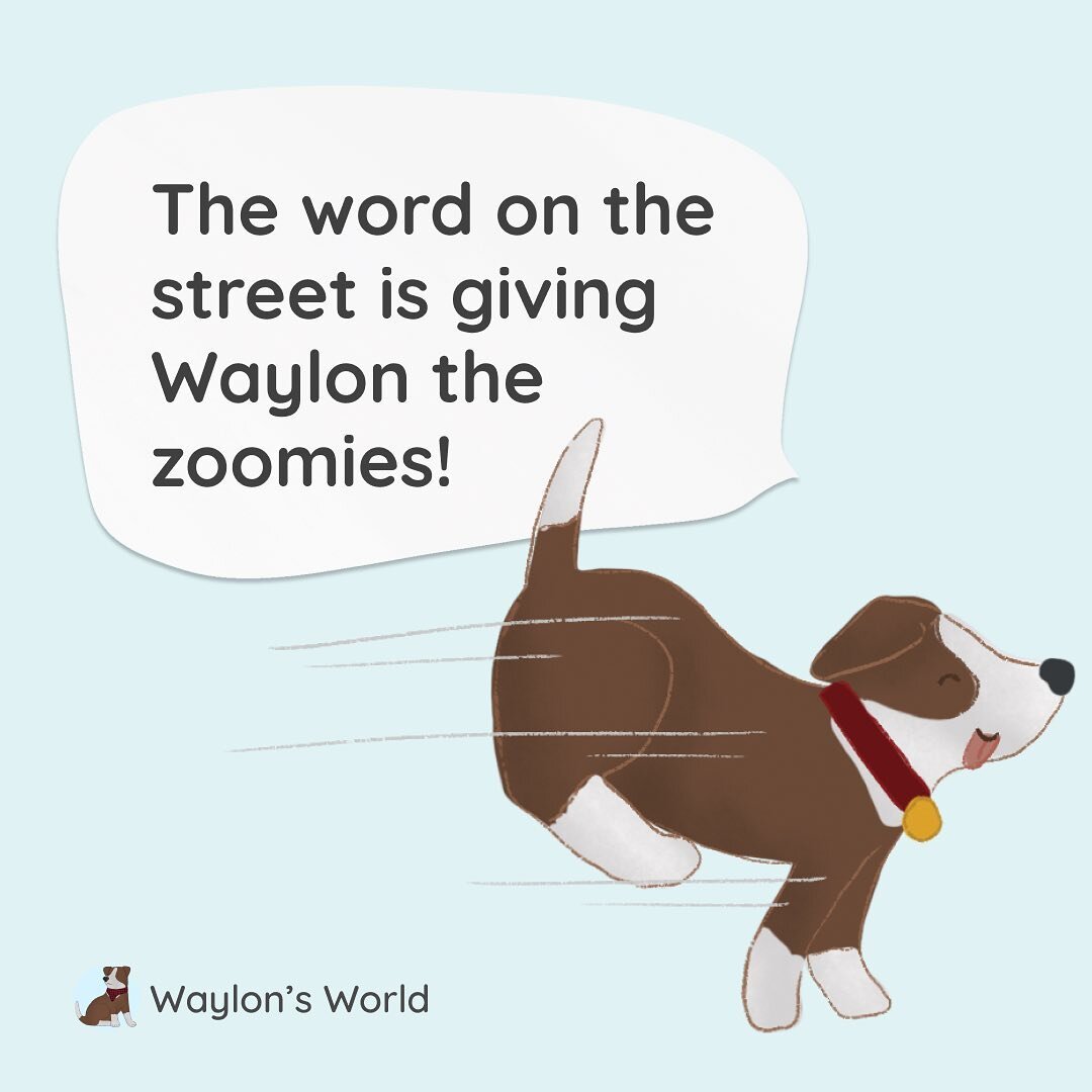 The reviews are in! Swipe to see what our little readers are saying about Waylon&rsquo;s World! 🐶🌎💛

&ldquo;We just read the book - two times! James really liked it. His favorite part was the dogs riding the bus!&rdquo;

&ldquo;We love the book an