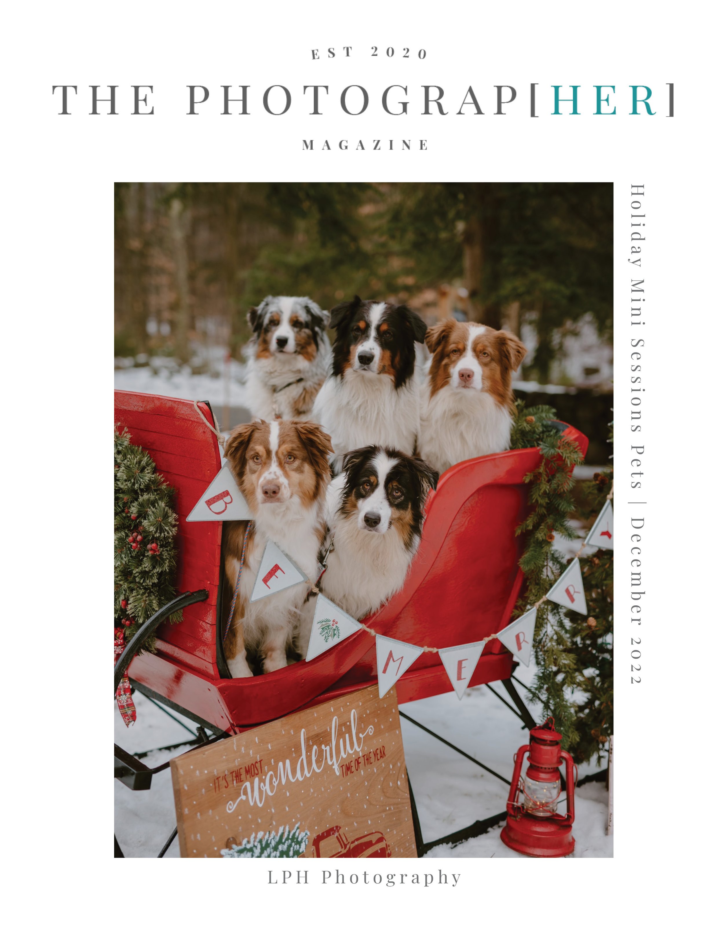 TPM Holiday Mini Sessions Pets Dec 2022.jpg
