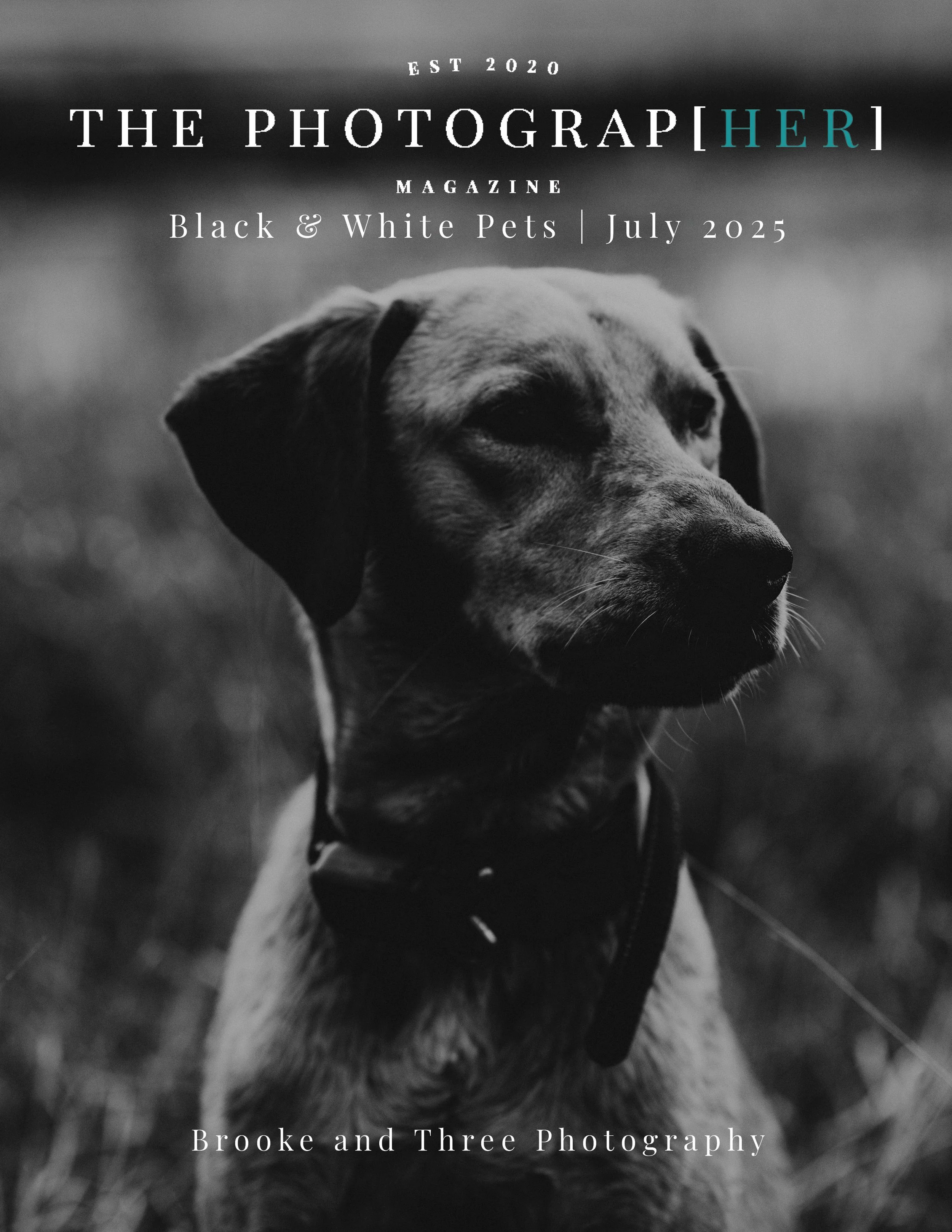 TPM Black and White Pets July 2025.jpg