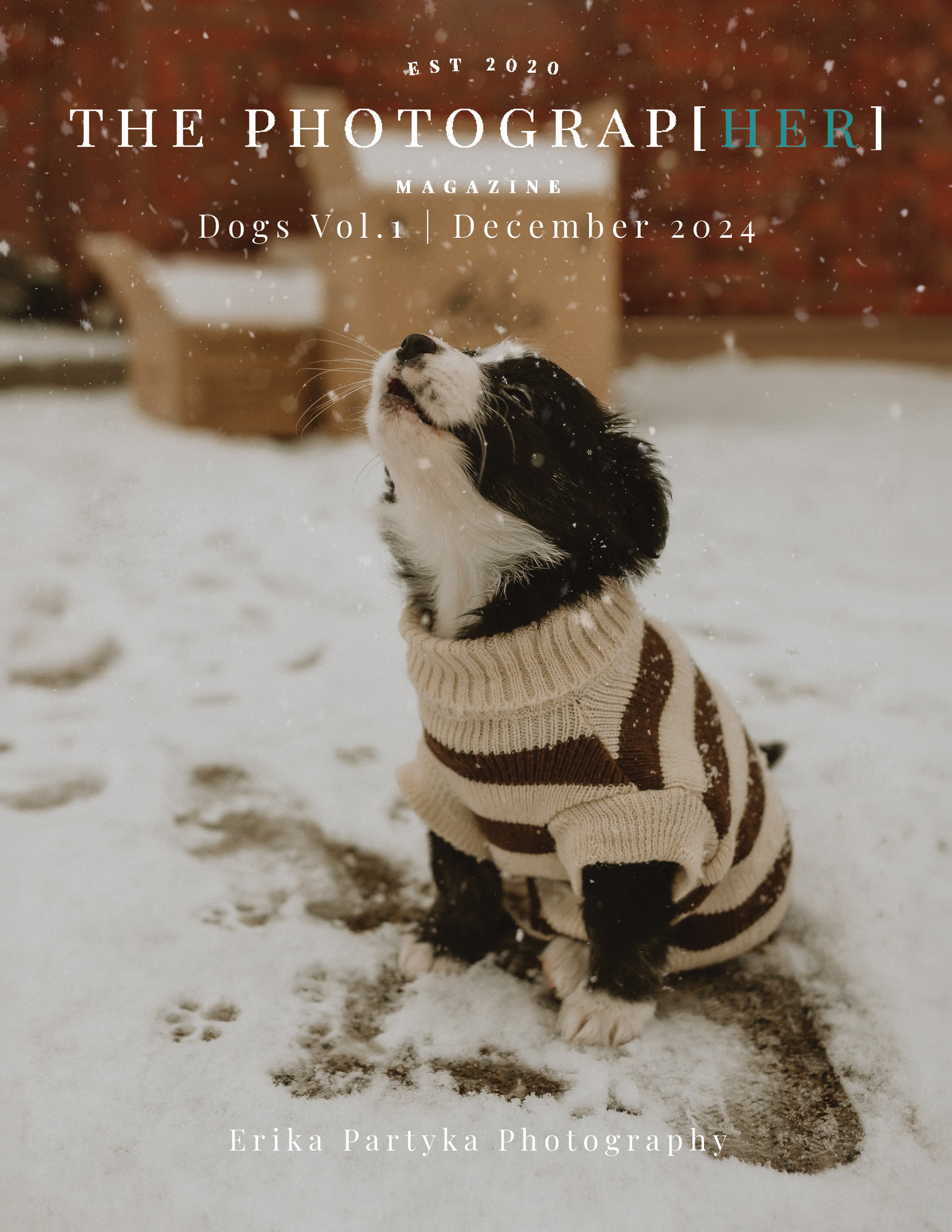 TPM Dogs Vol1 December 2024.jpg