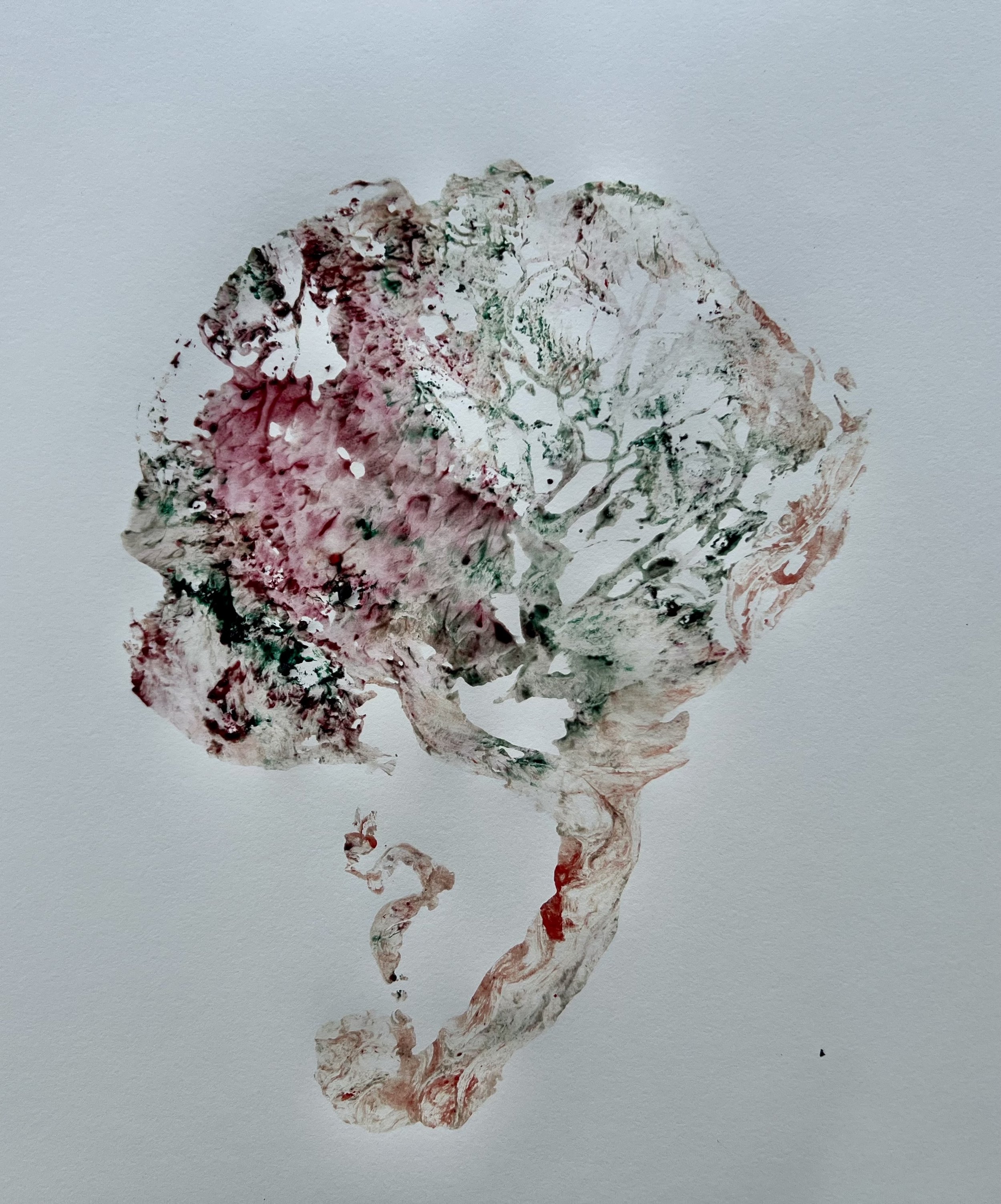 placenta print 6.jpg