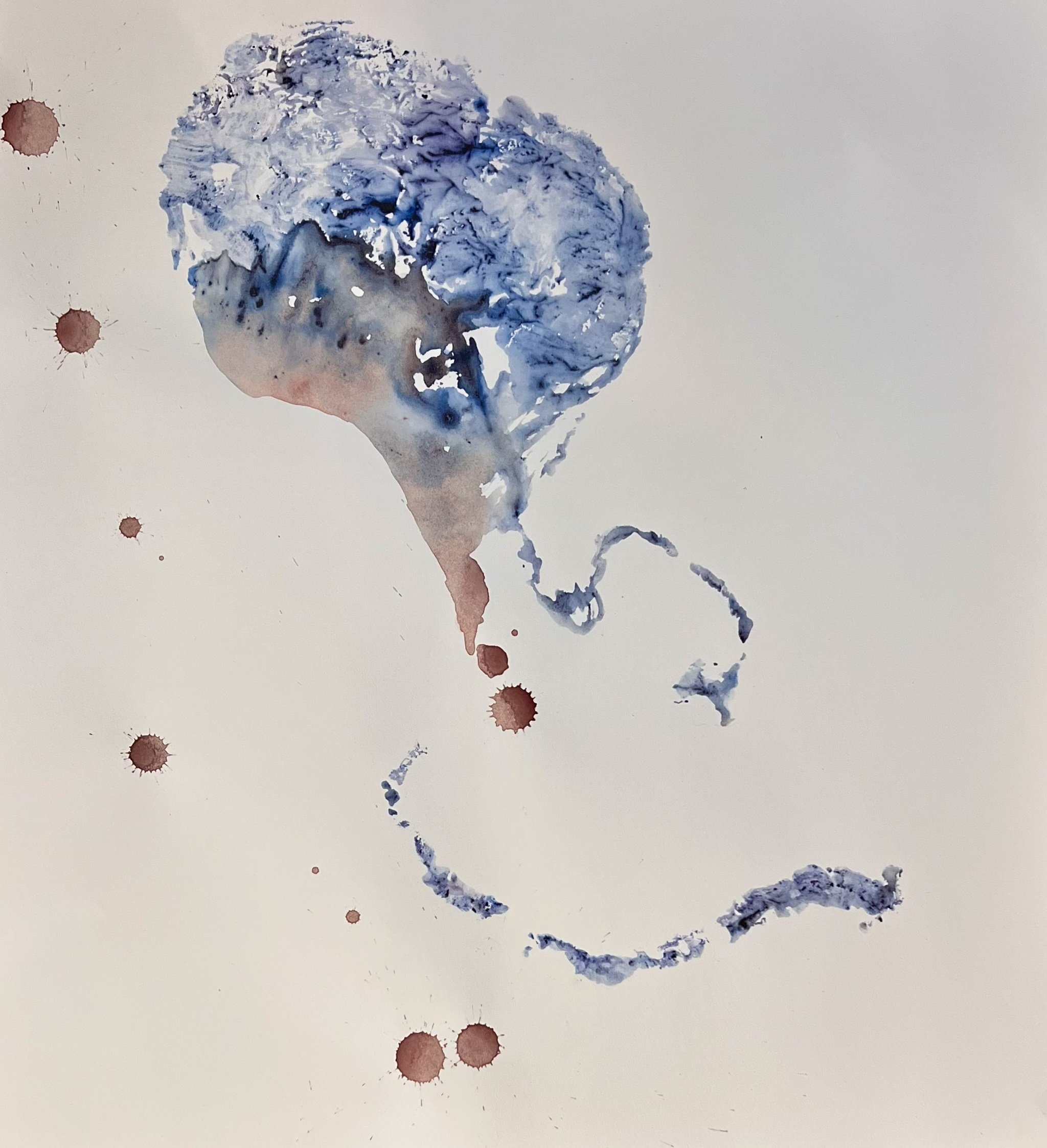 placenta print.jpg