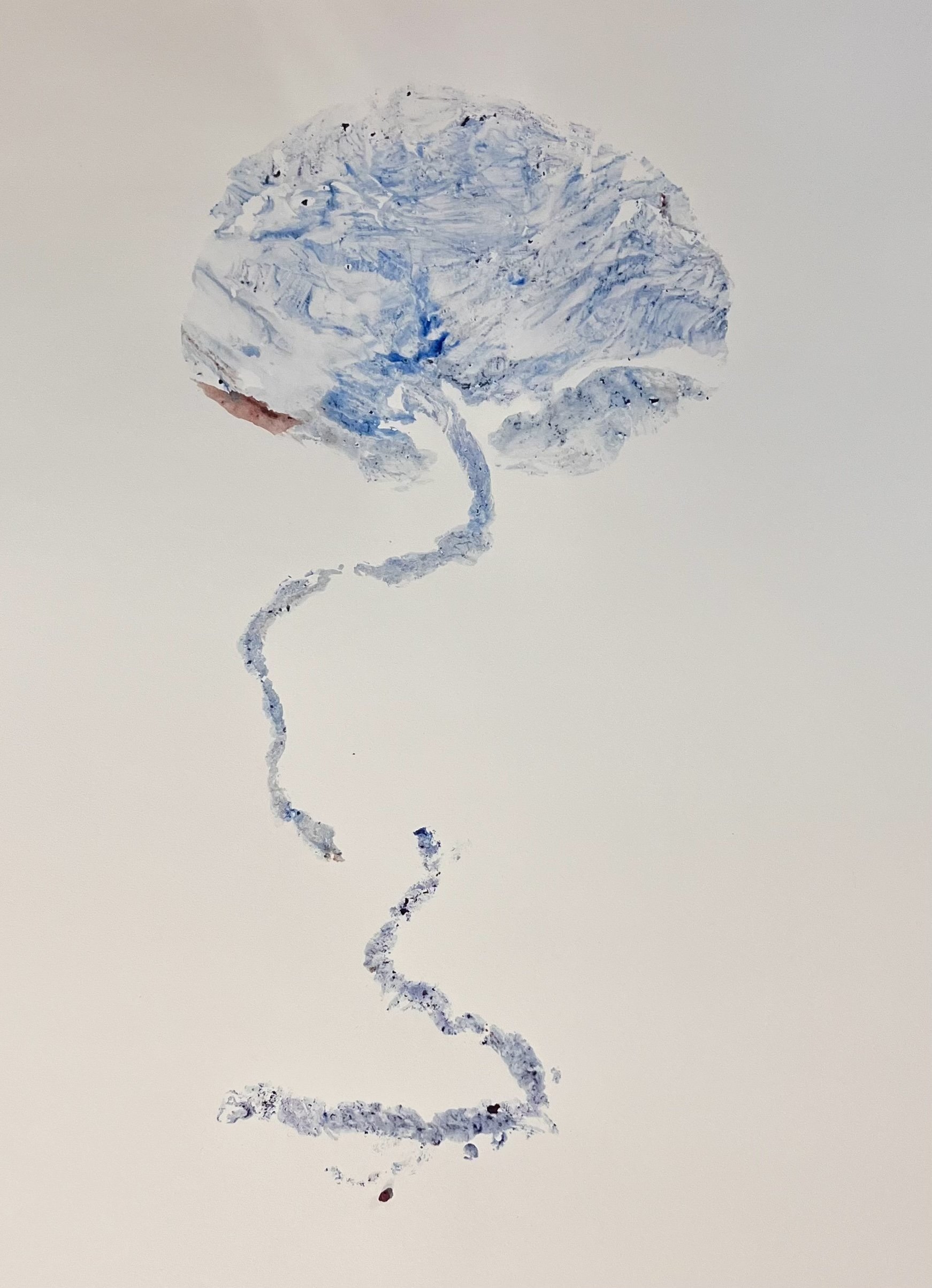 placenta print 2.jpg