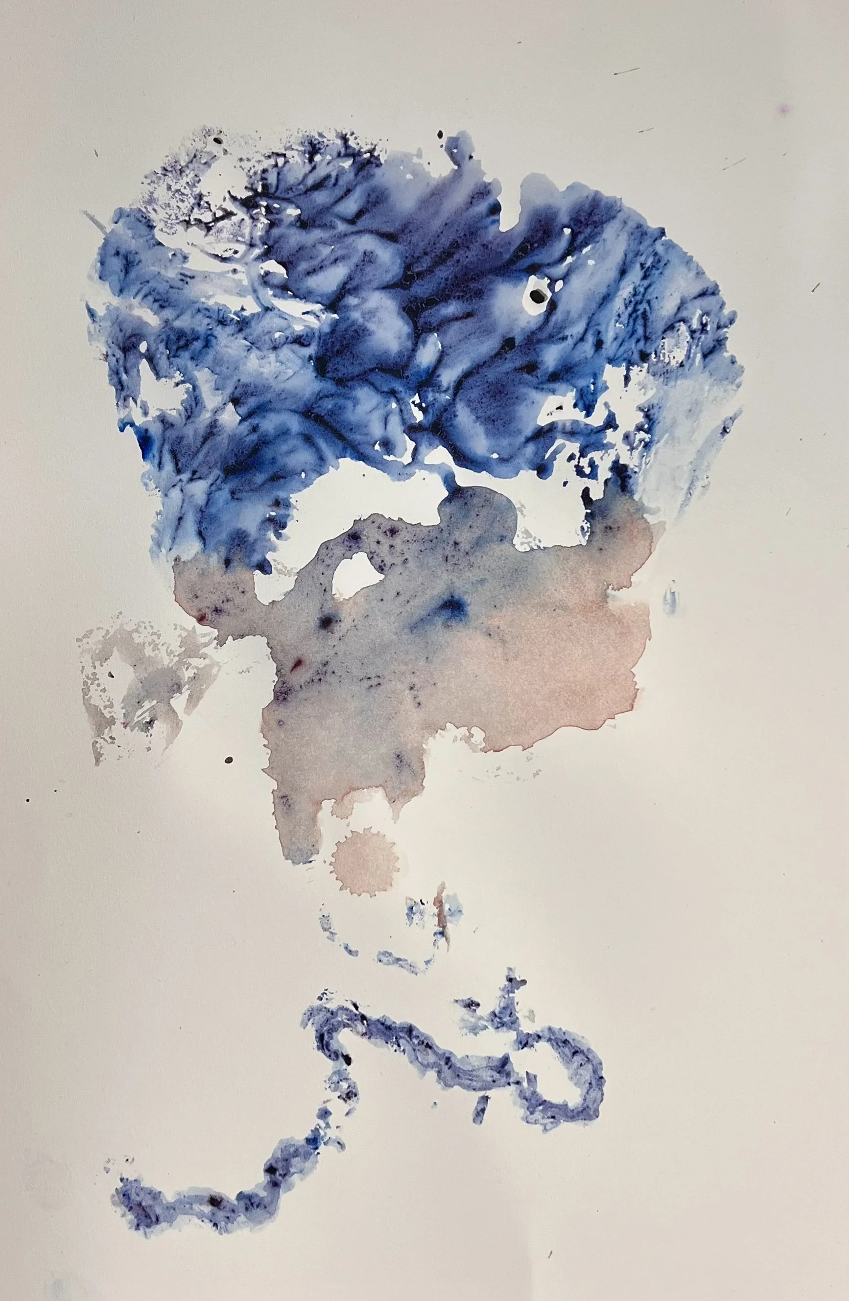 placenta print 3.jpg